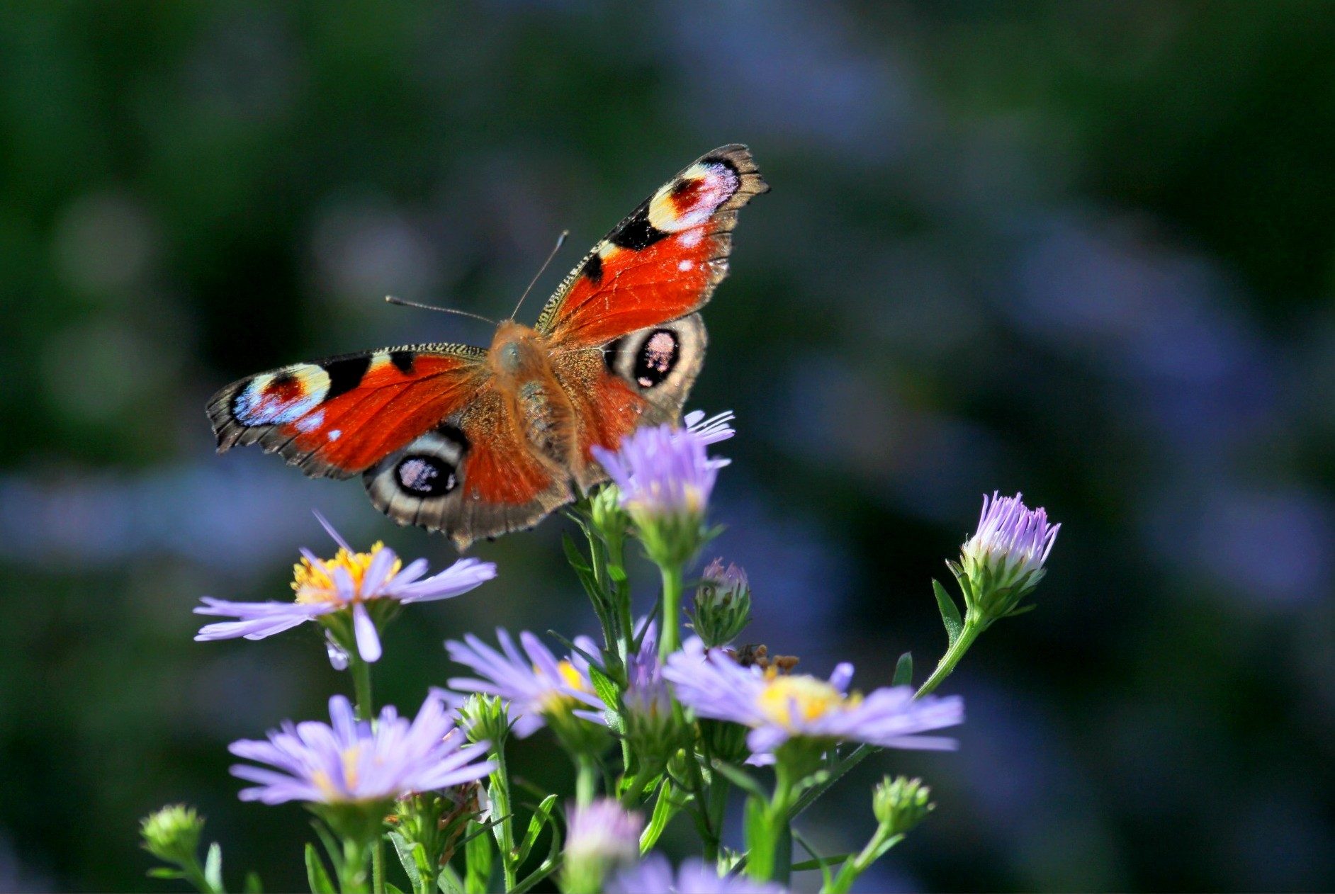 Valokuvaaja: sirpa jyske
