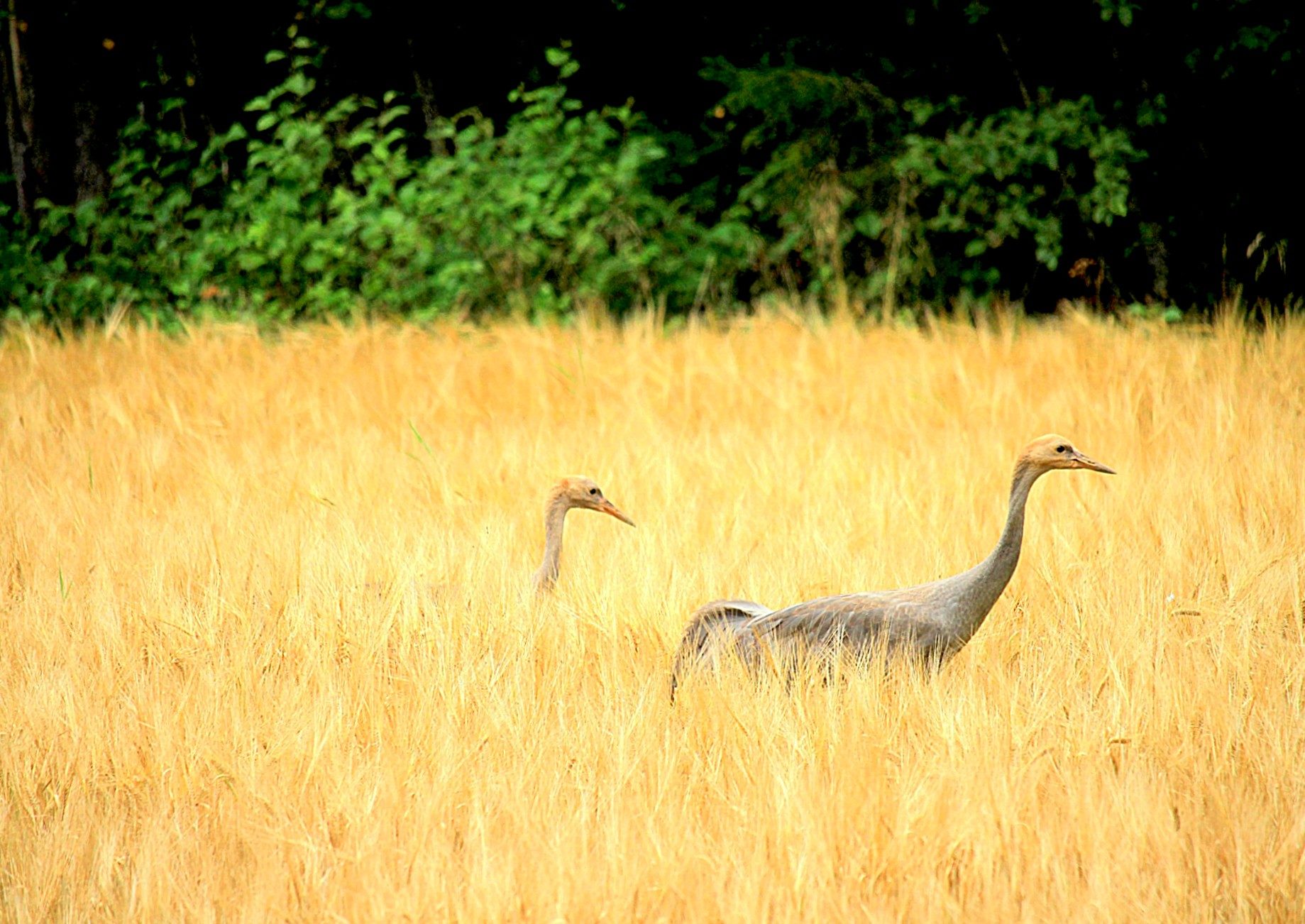 Valokuvaaja: sirpa Jyske
