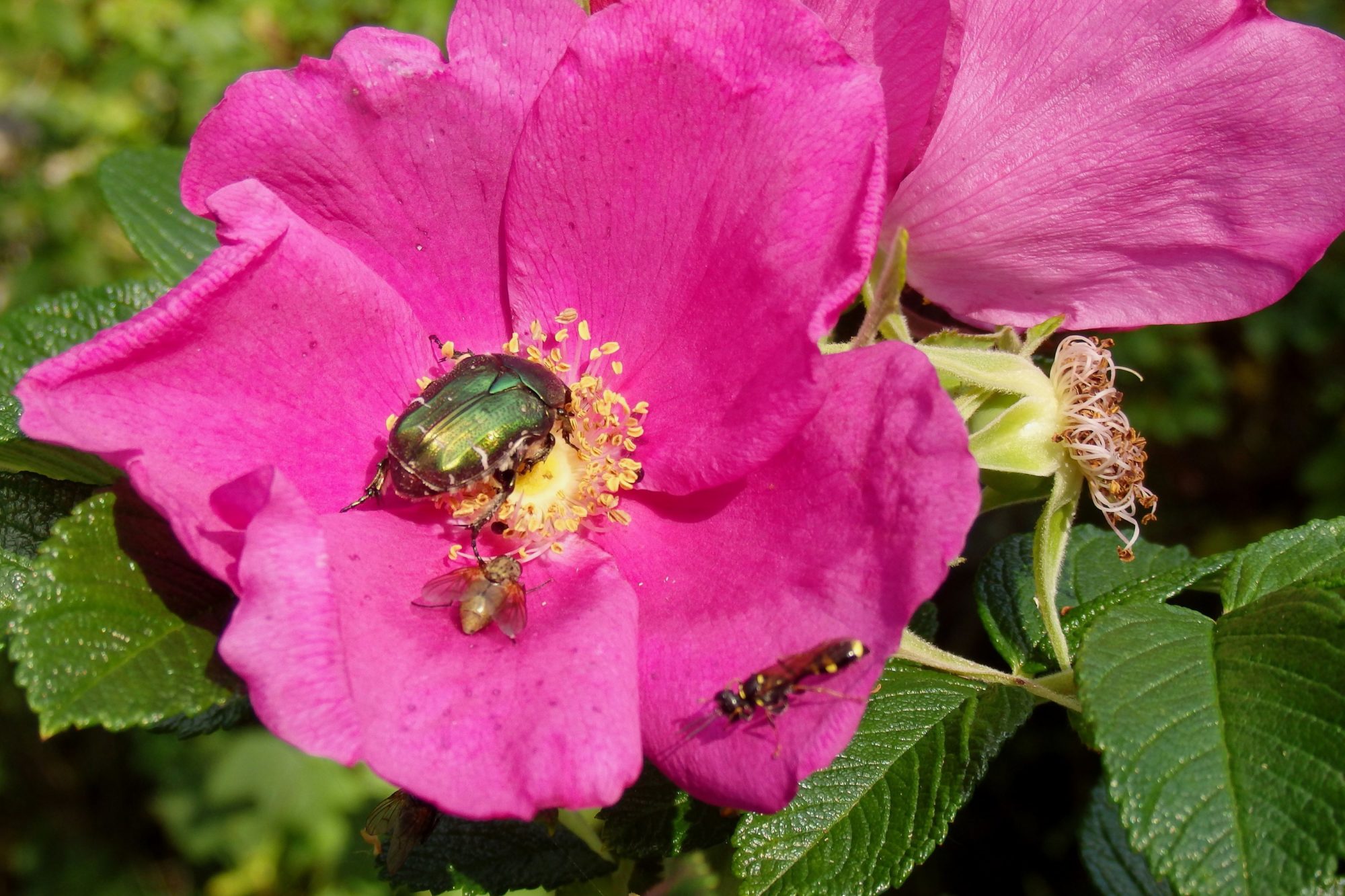 Valokuvaaja: Antti Kaskinen