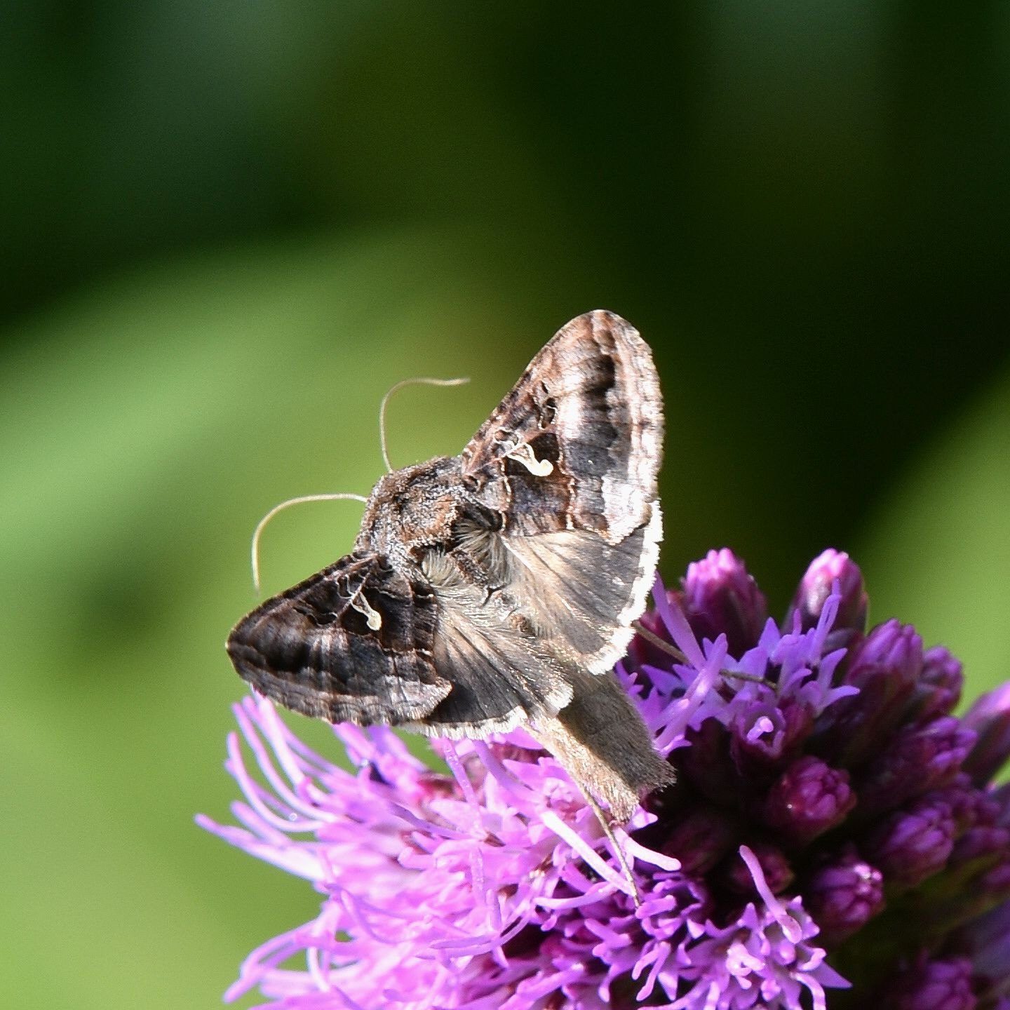 Valokuvaaja: Antti Kaskinen