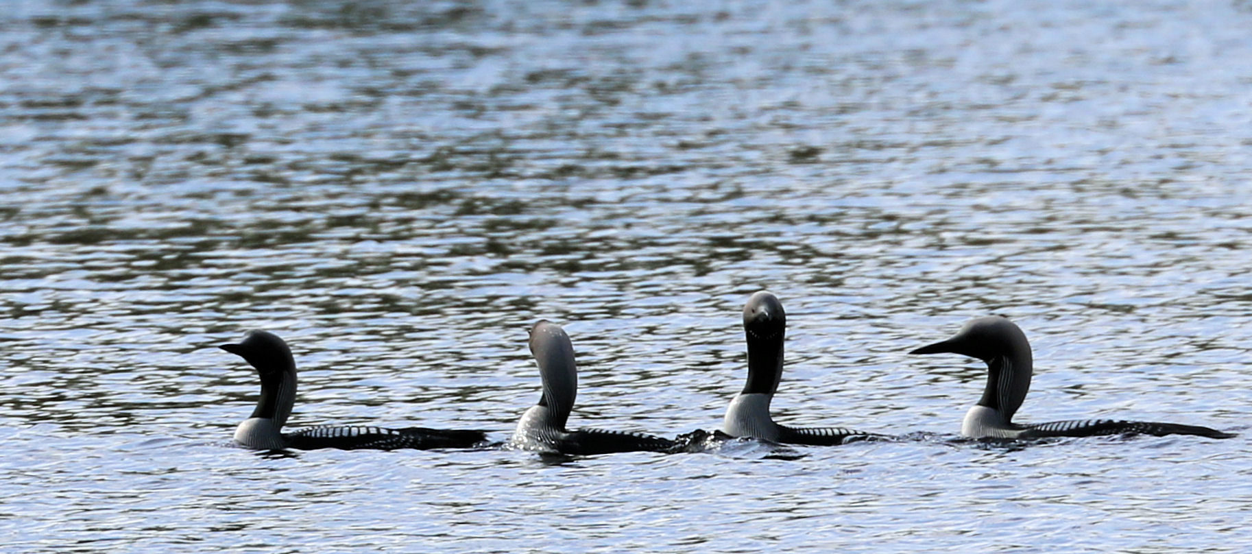 Valokuvaaja: Ahti Keränen