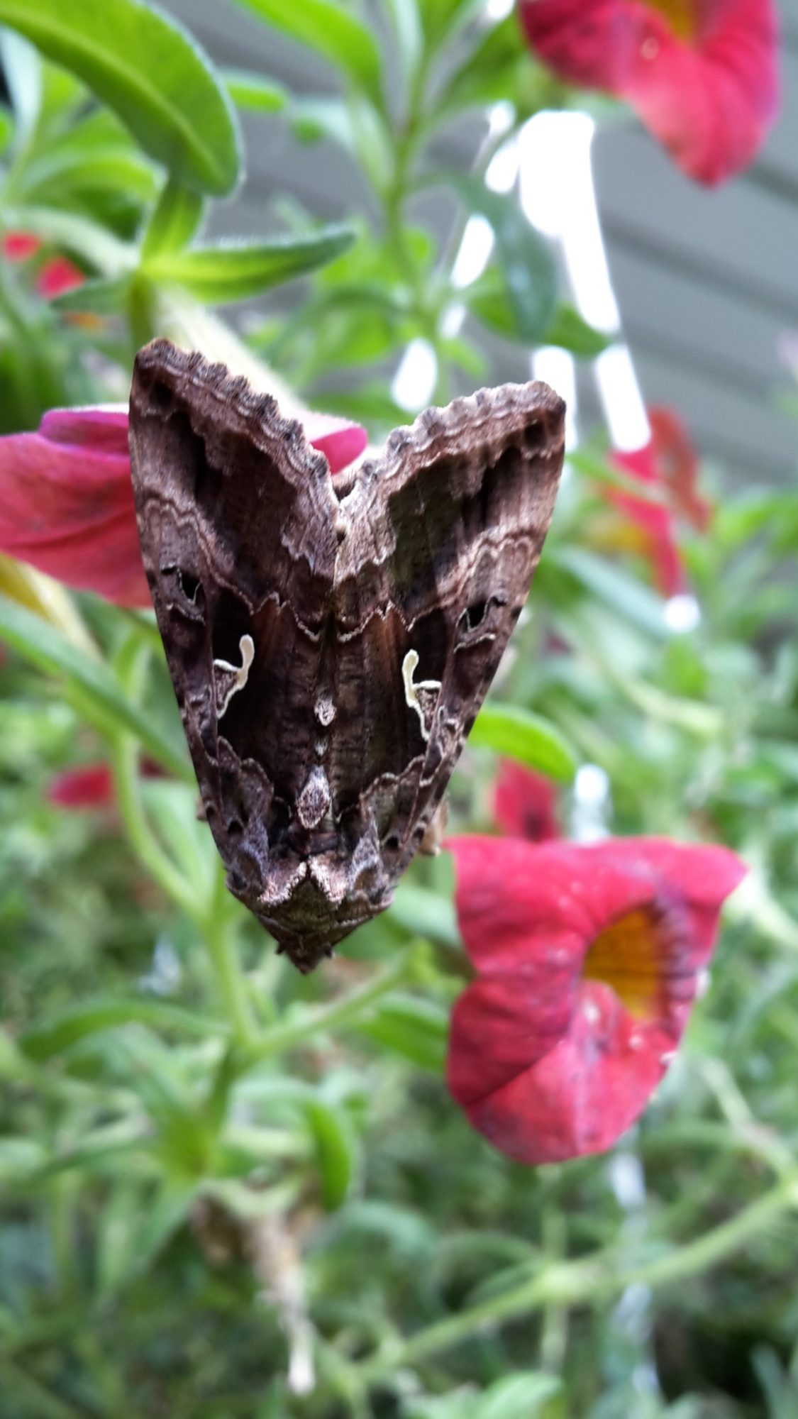 Valokuvaaja: Tuija Söderholm