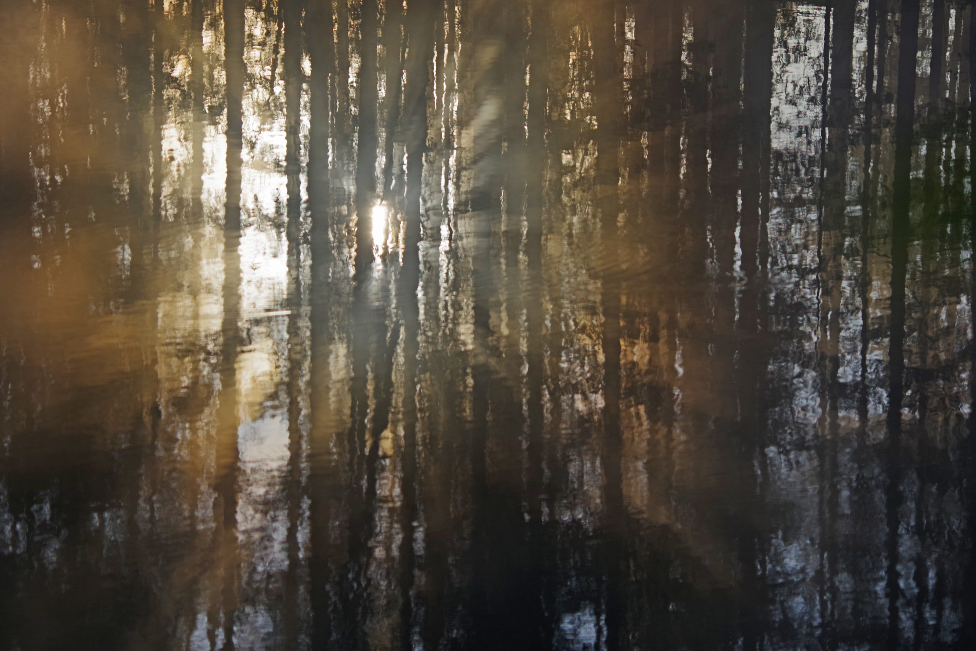 Valokuvaaja: Erkki Virtanen