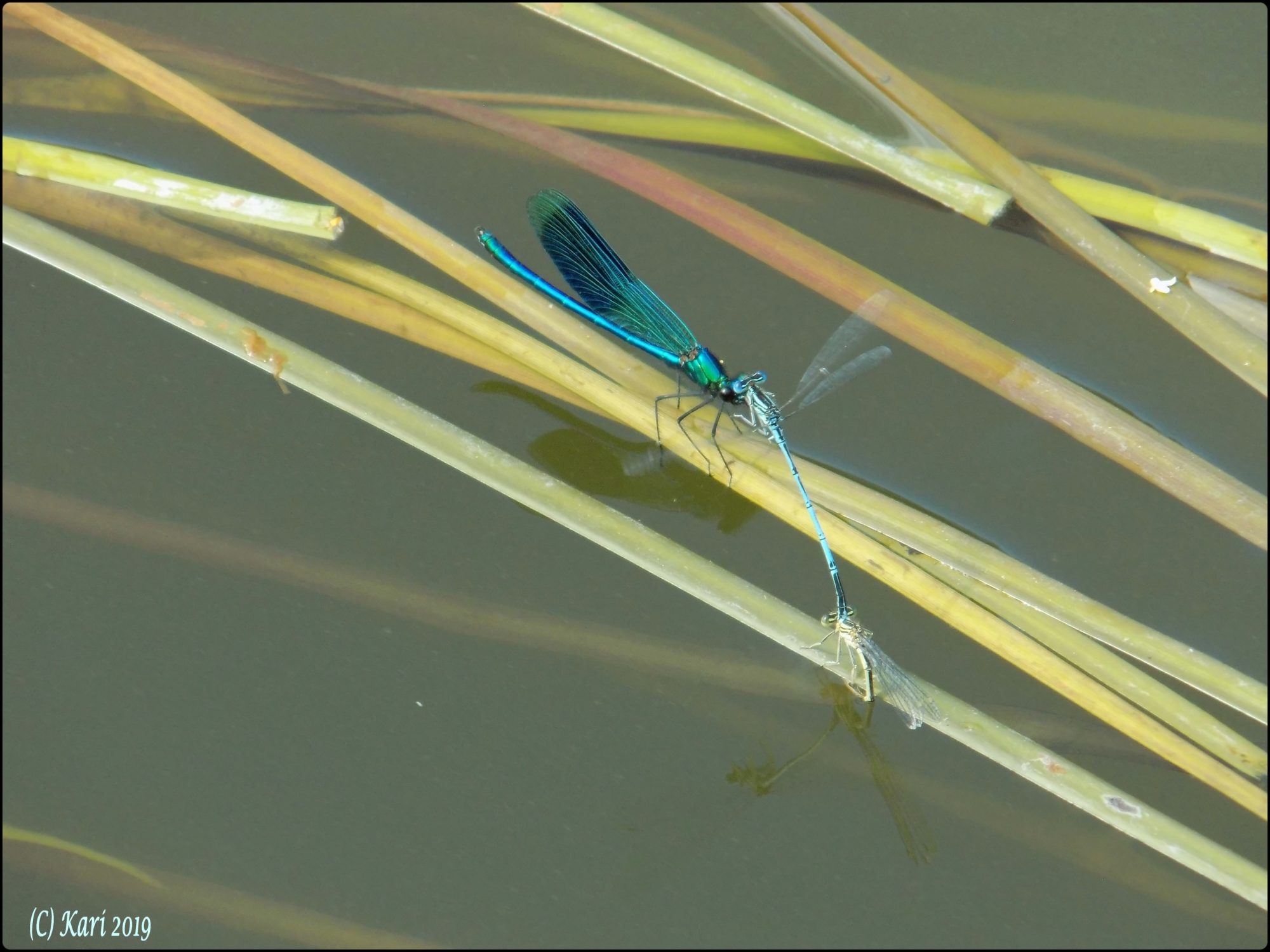 Valokuvaaja: Kari Saarinen