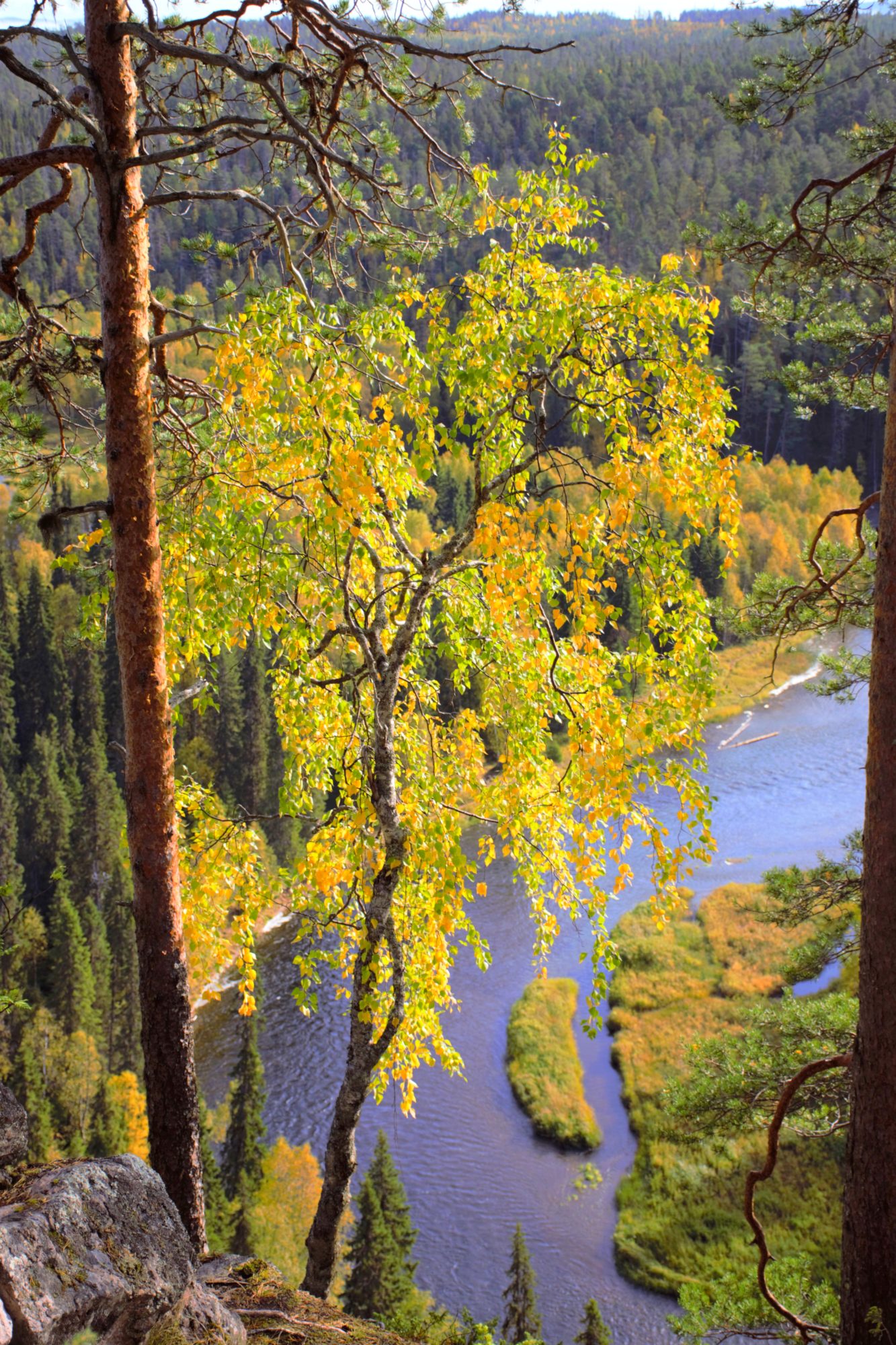 Valokuvaaja: Leena Rissanen