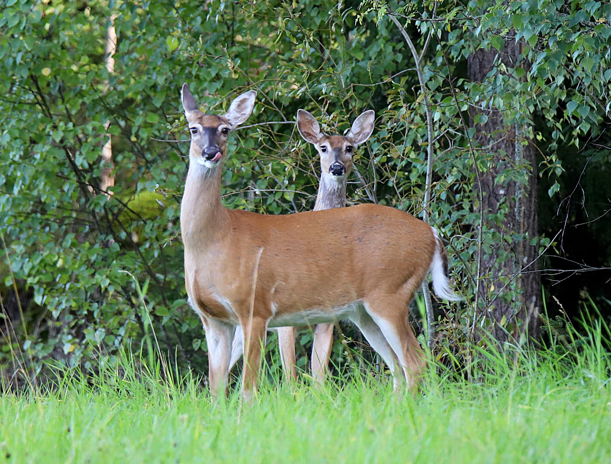 Valokuvaaja: sirpa jyske