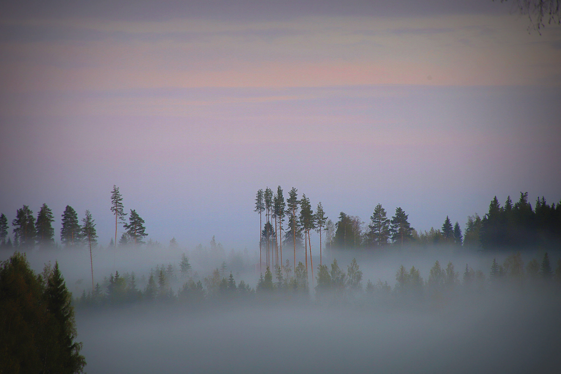 Valokuvaaja: sirpa jyske