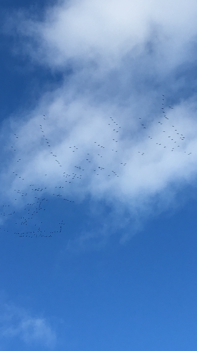 Valokuvaaja: Elina Vanhala