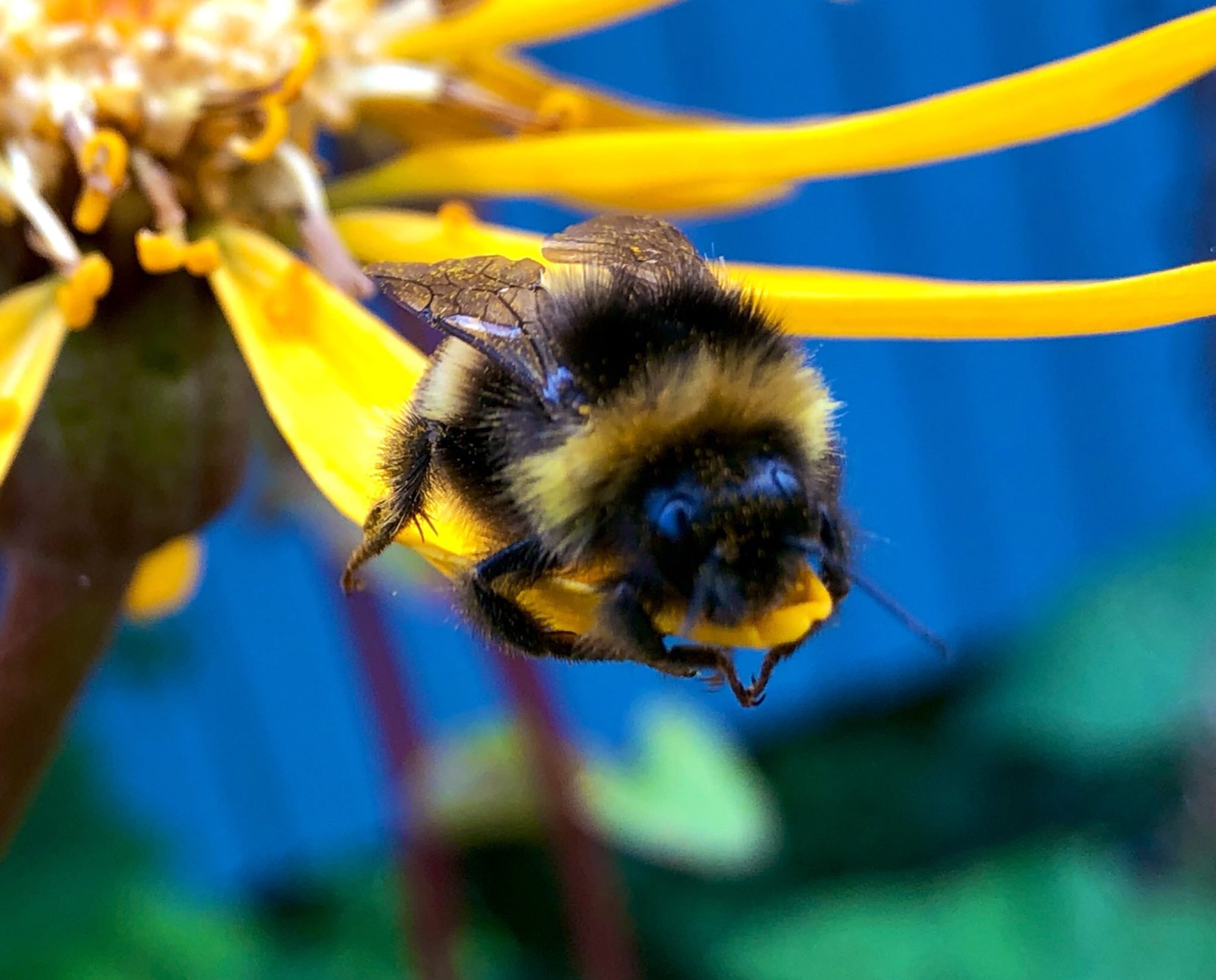 Valokuvaaja: Mereta Helin