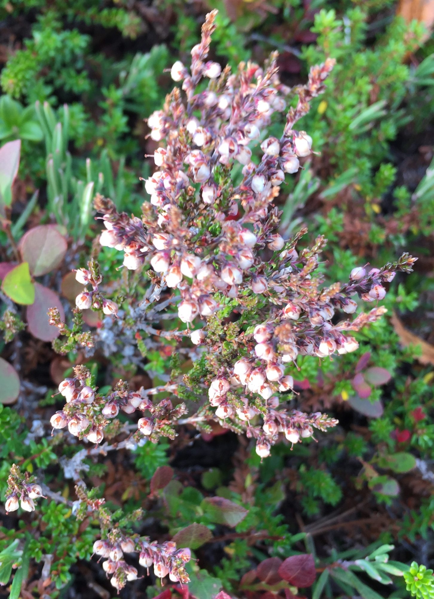 Valokuvaaja: Eija-Inkeri Mantere