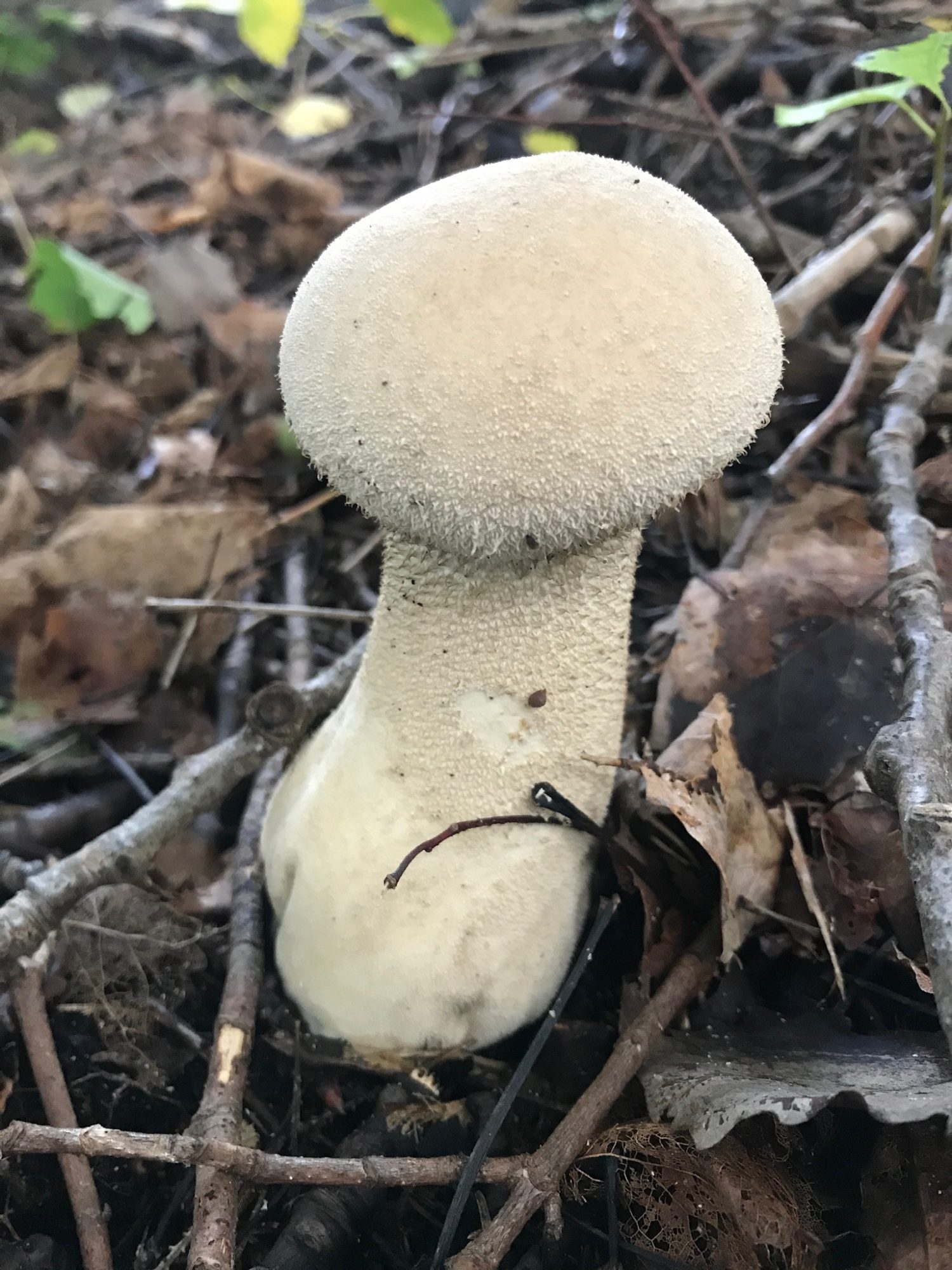 Valokuvaaja: Tiina Kärki