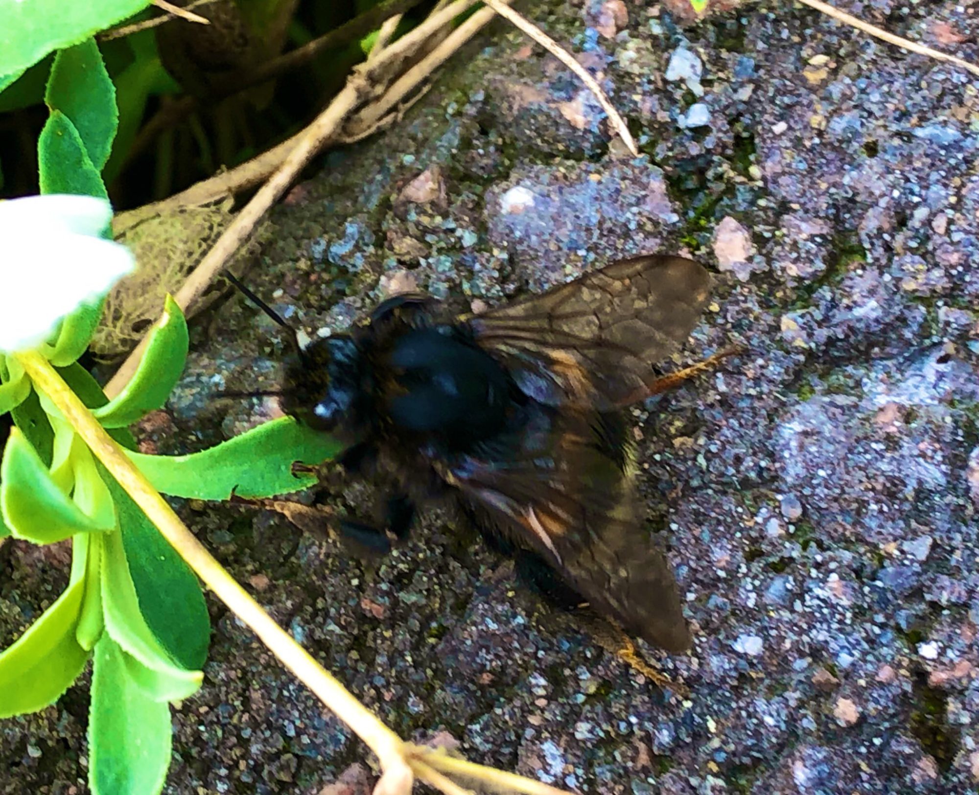 Valokuvaaja: Mereta Helin