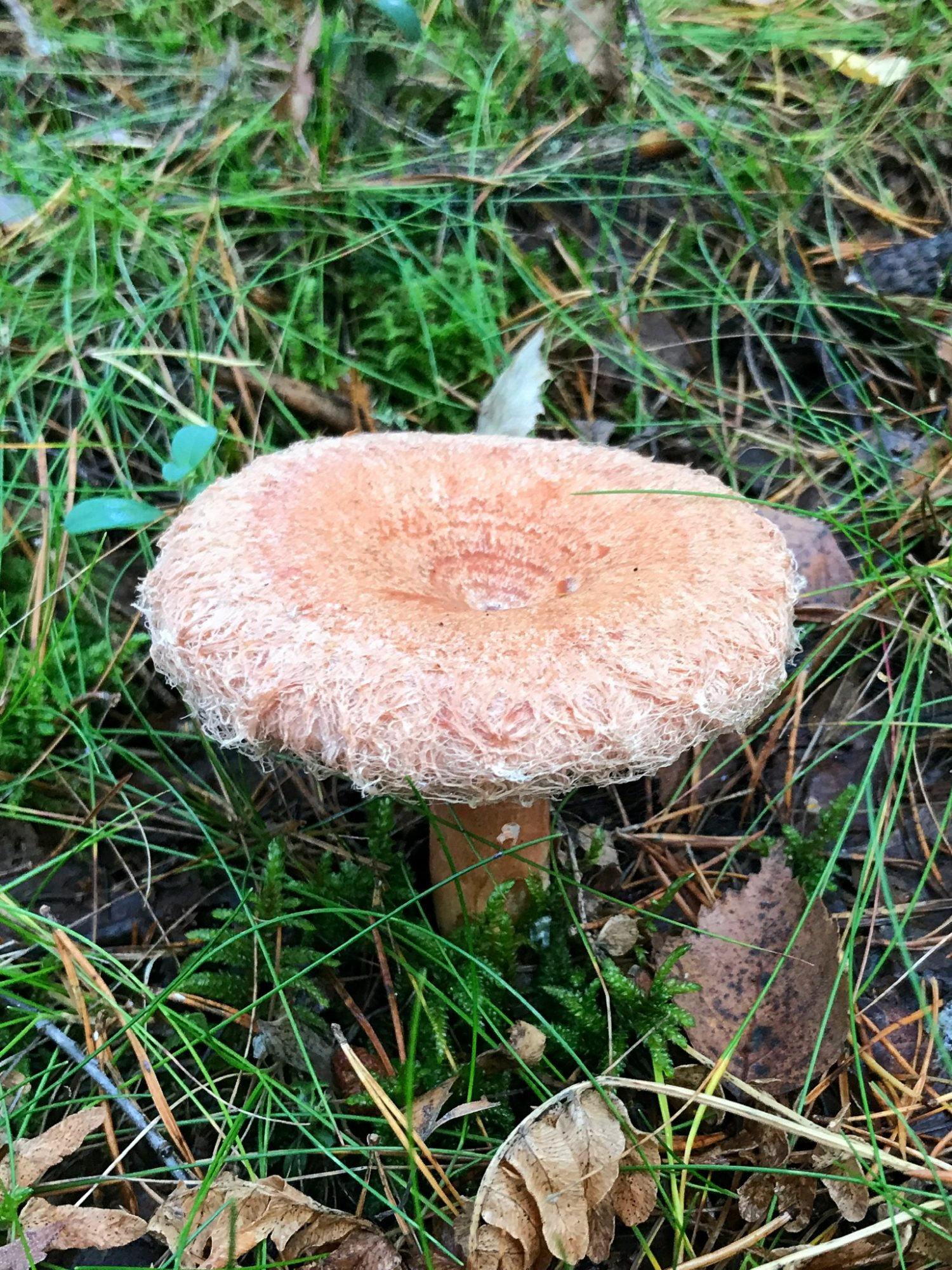 Valokuvaaja: Tiina Kärki