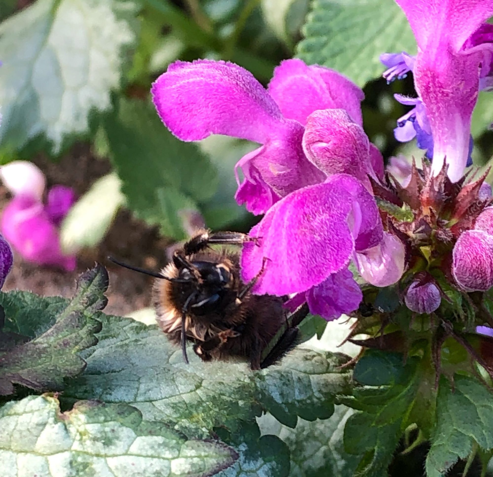 Valokuvaaja: Mereta Helin