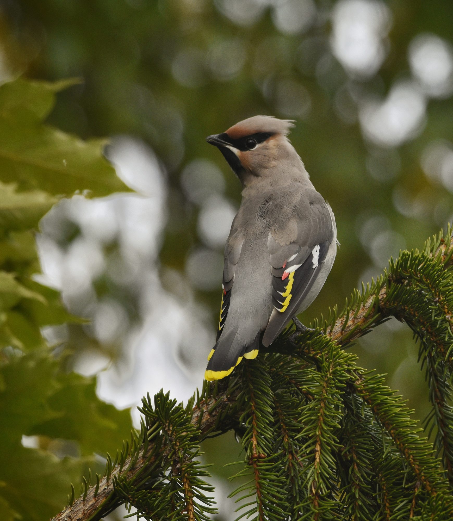 Valokuvaaja: Timo Lappalainen Valokuvaaja: Timo Lappalainen