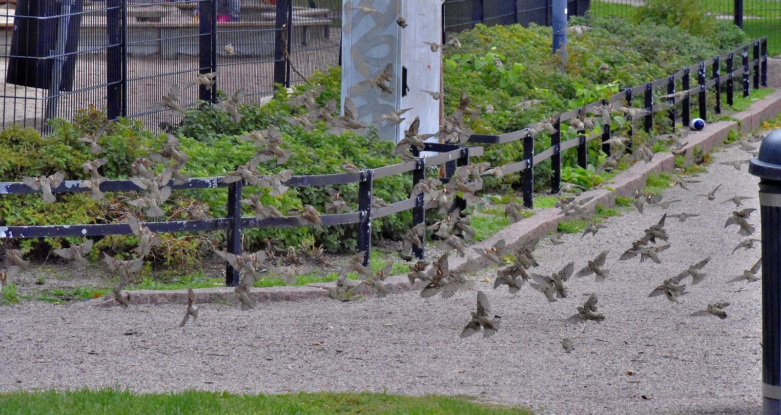 Valokuvaaja: Reijo Juurinen