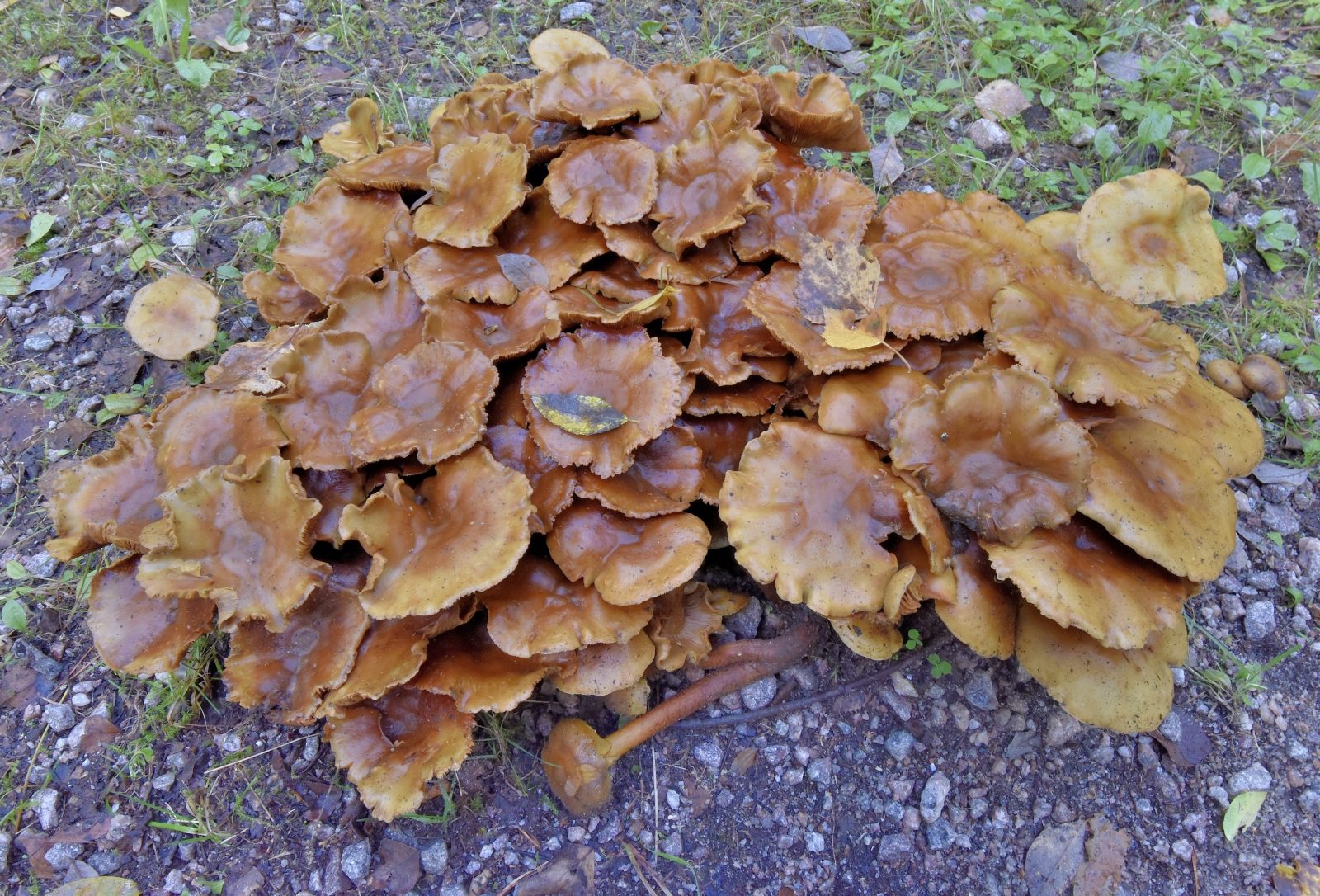 Valokuvaaja: Reijo Juurinen