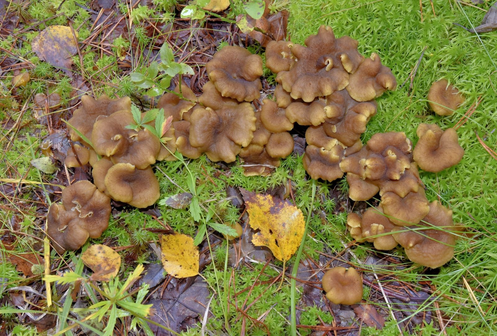 Valokuvaaja: Reijo Juurinen