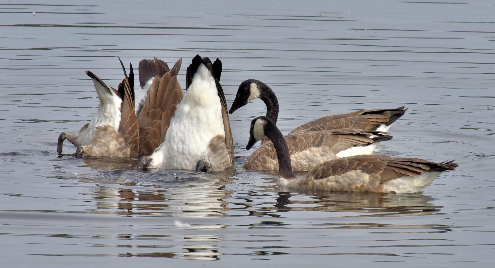 Valokuvaaja: Reijo Juurinen
