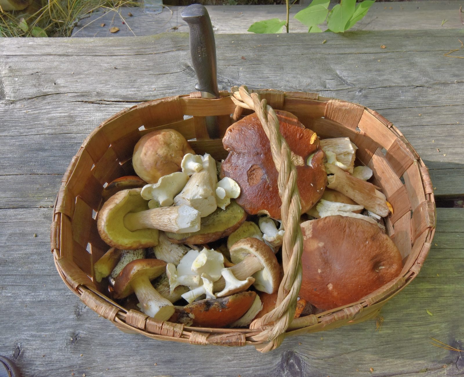 Valokuvaaja: Reijo Juurinen