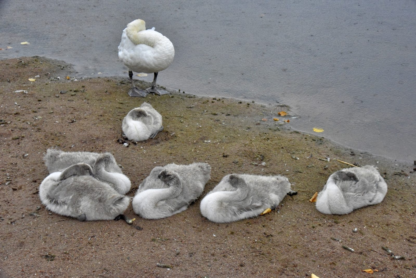 Valokuvaaja: Reijo Juurinen