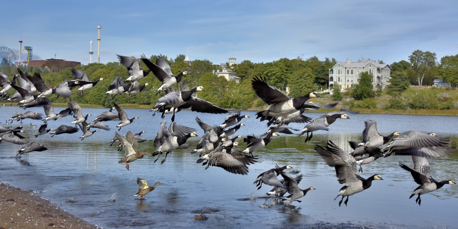 Valokuvaaja: Reijo Juurinen