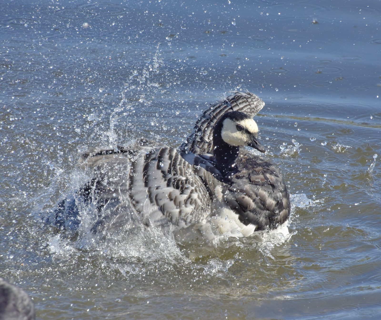 Valokuvaaja: Reijo Juurinen
