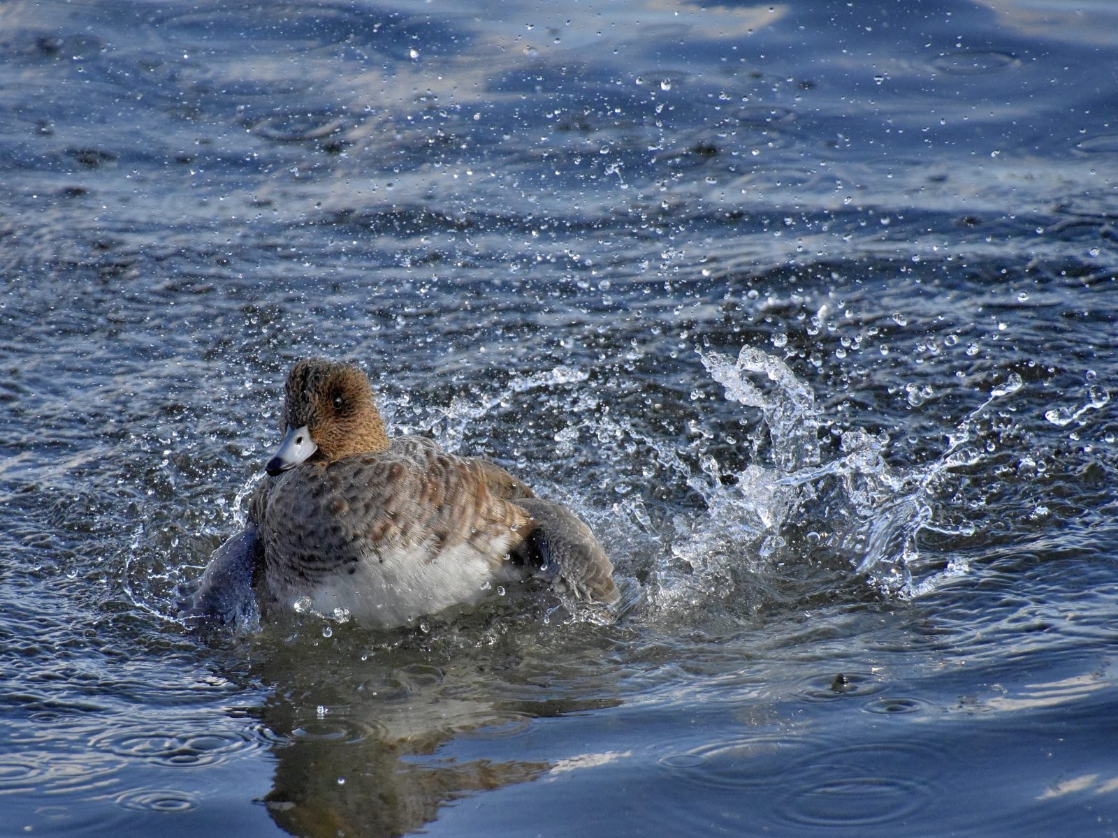 Valokuvaaja: Reijo Juurinen