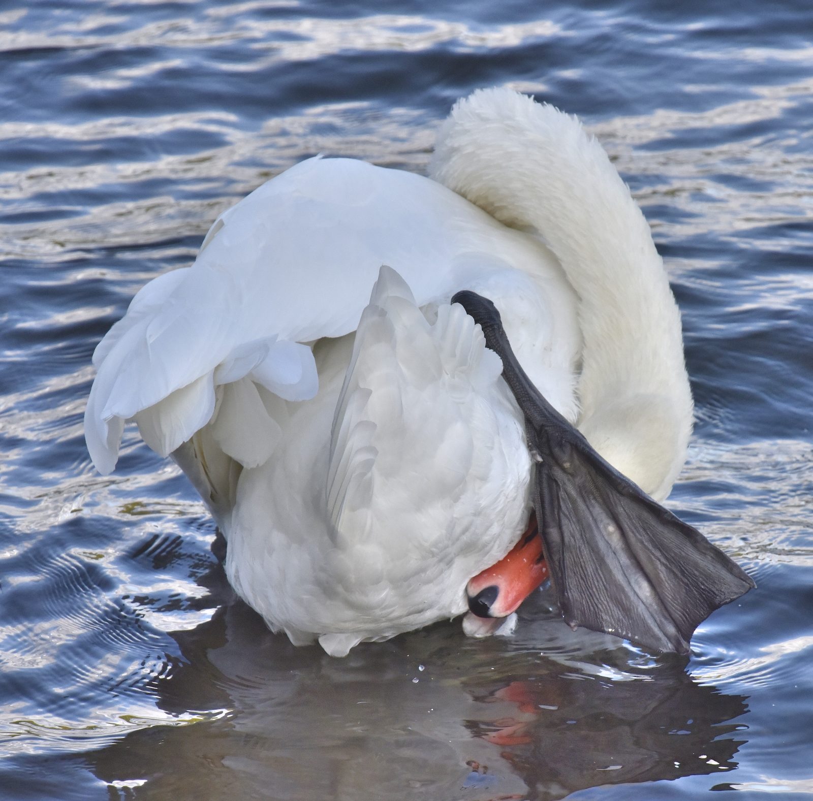 Valokuvaaja: Reijo Juurinen