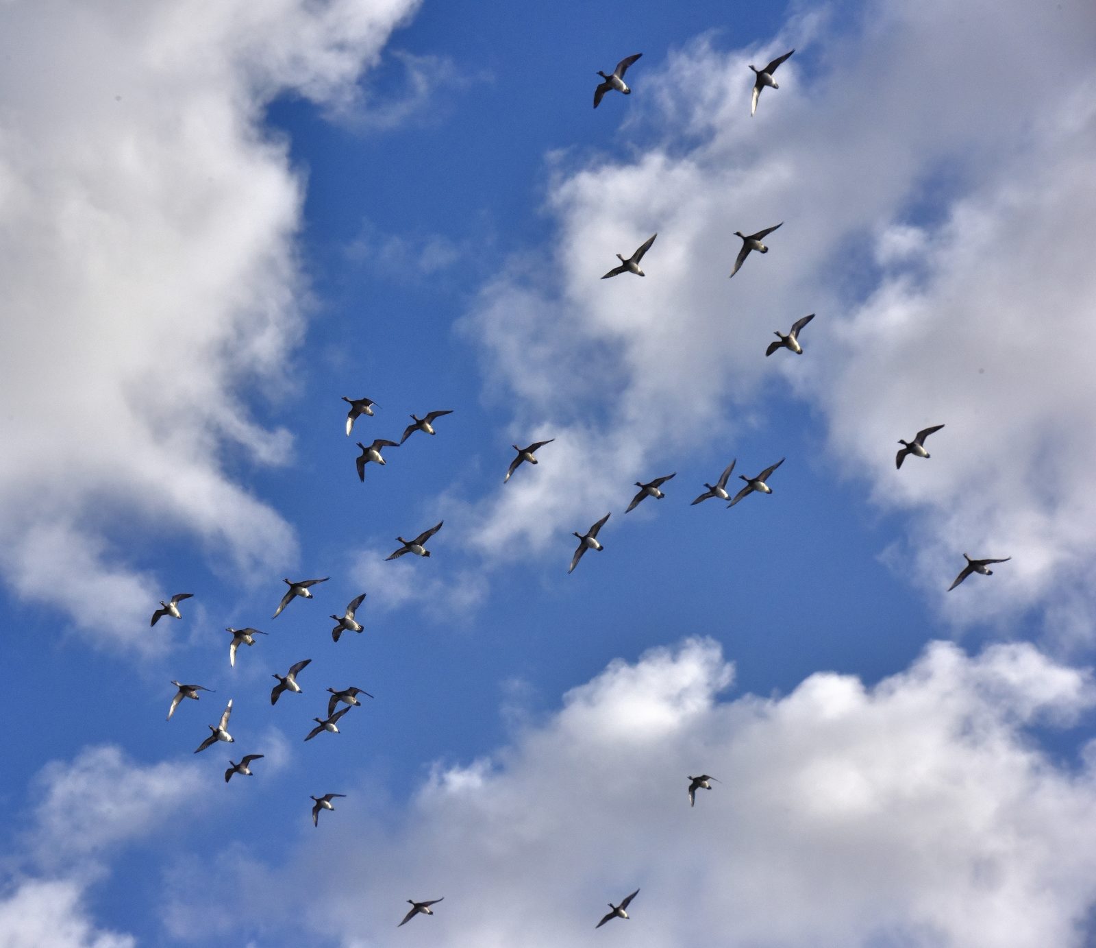 Valokuvaaja: Reijo Juurinen Valokuvaaja: Reijo Juurinen