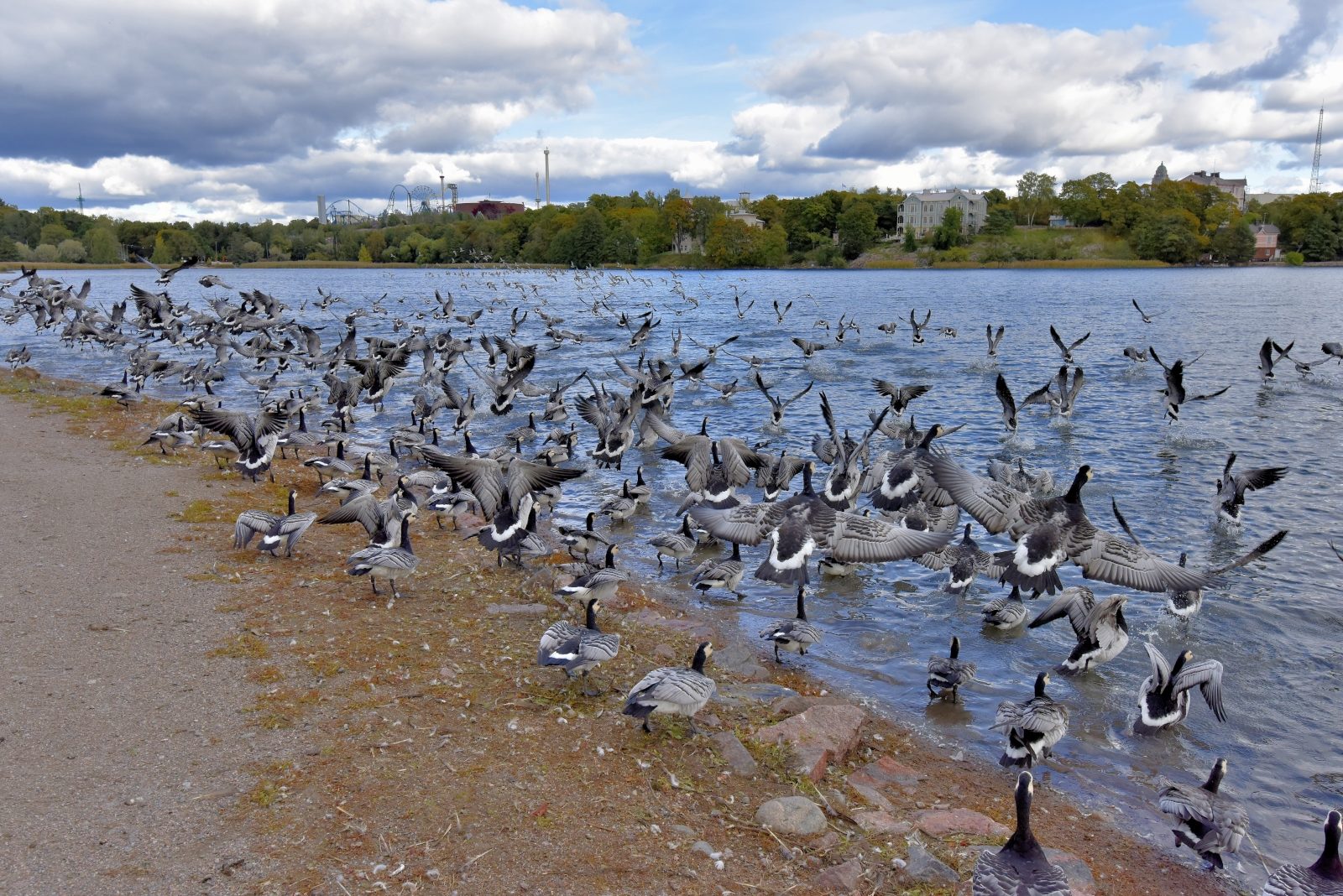 Valokuvaaja: Reijo Juurinen