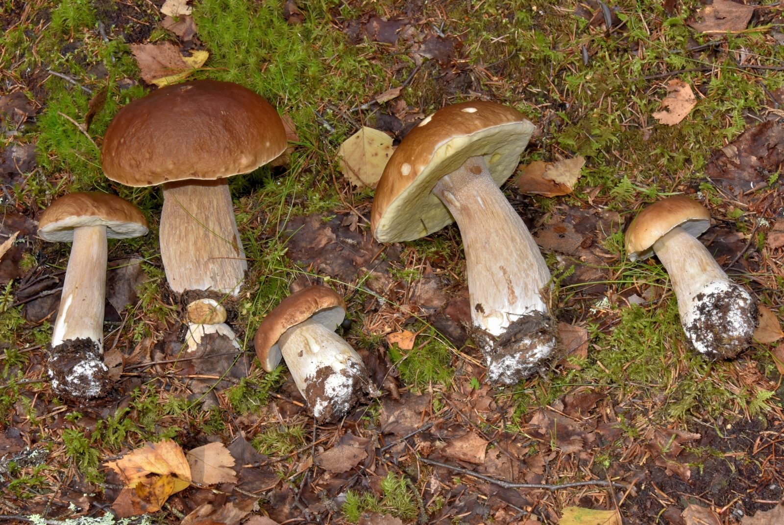 Valokuvaaja: Reijo Juurinen