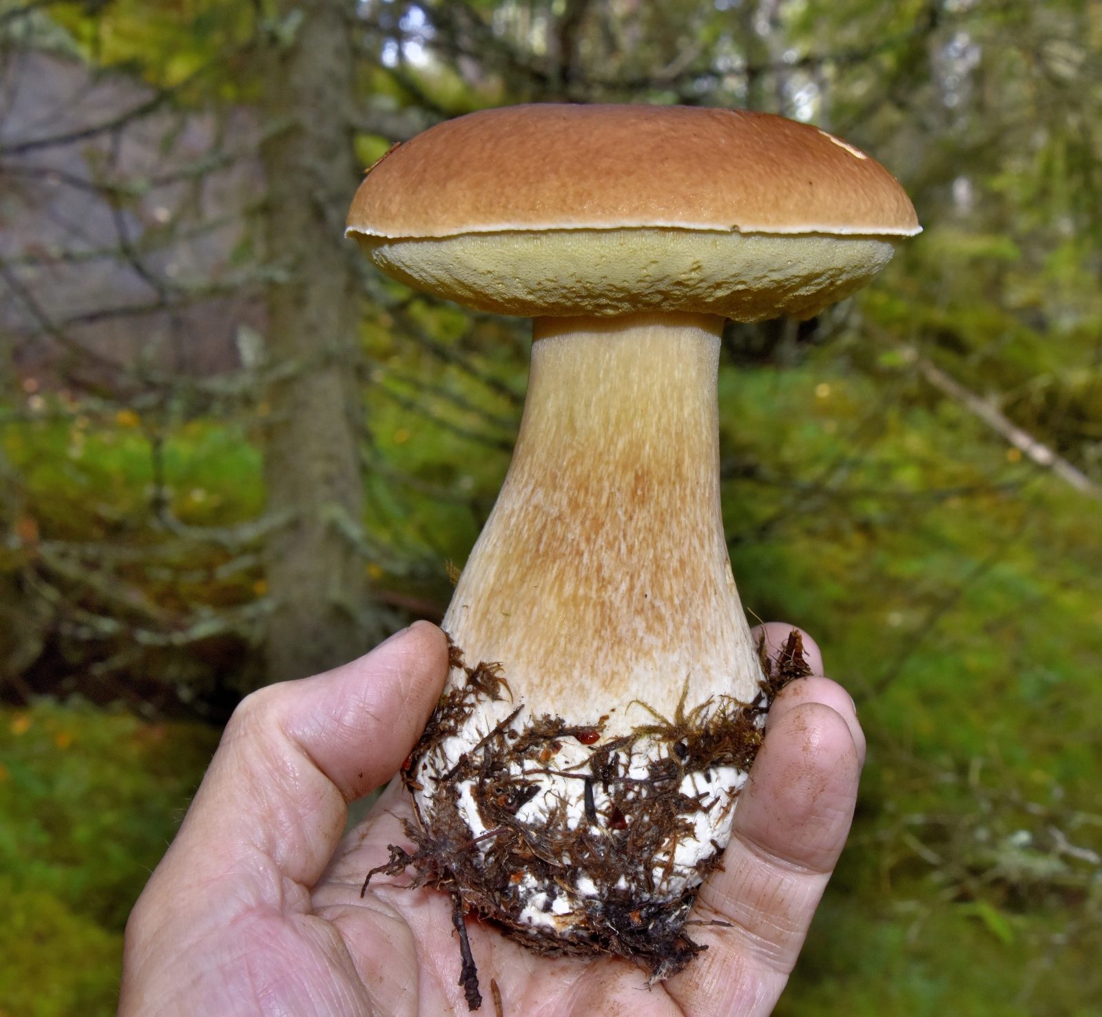 Valokuvaaja: Reijo Juurinen