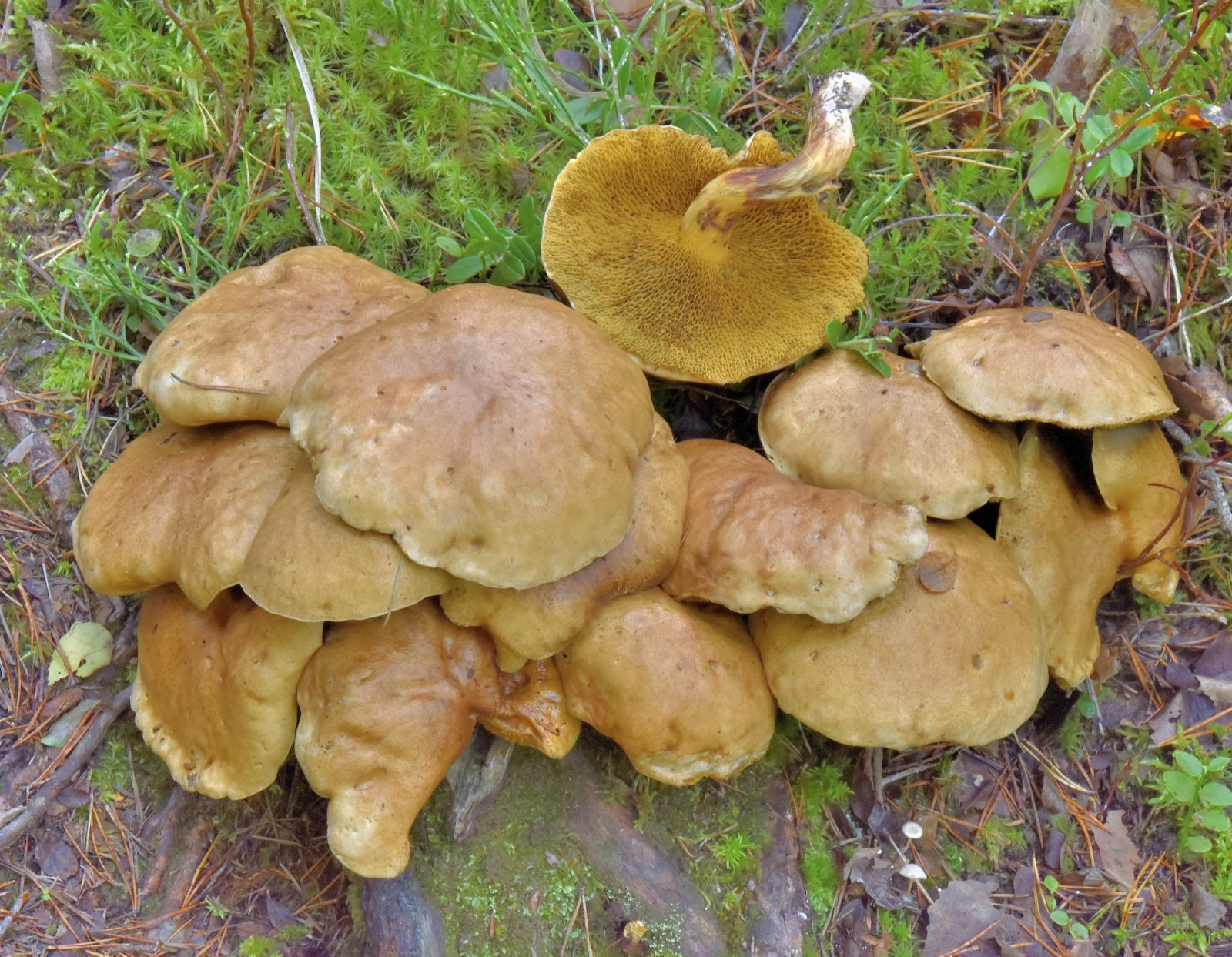 Valokuvaaja: Reijo Juurinen