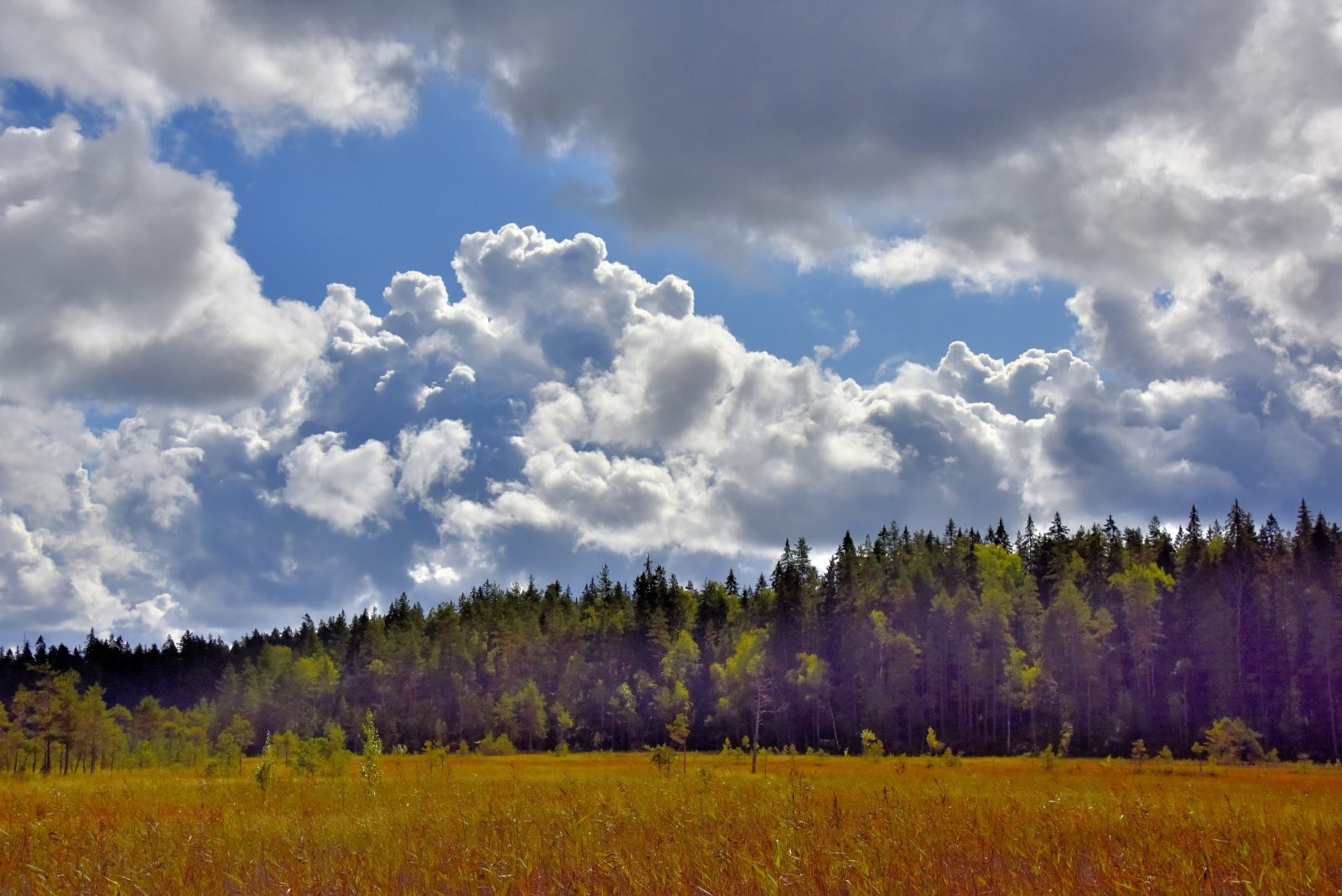 Valokuvaaja: Reijo Juurinen