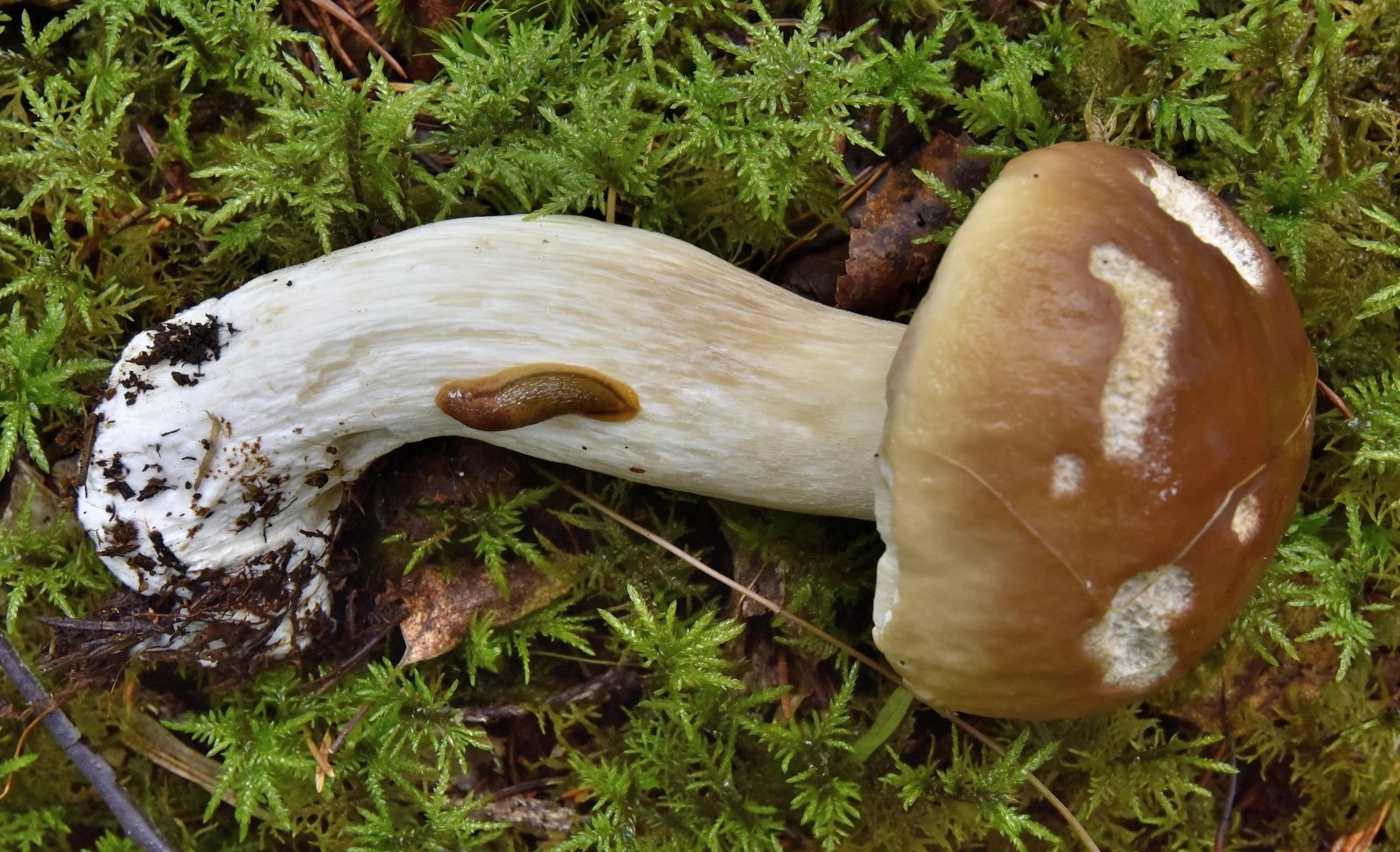 Valokuvaaja: Reijo Juurinen