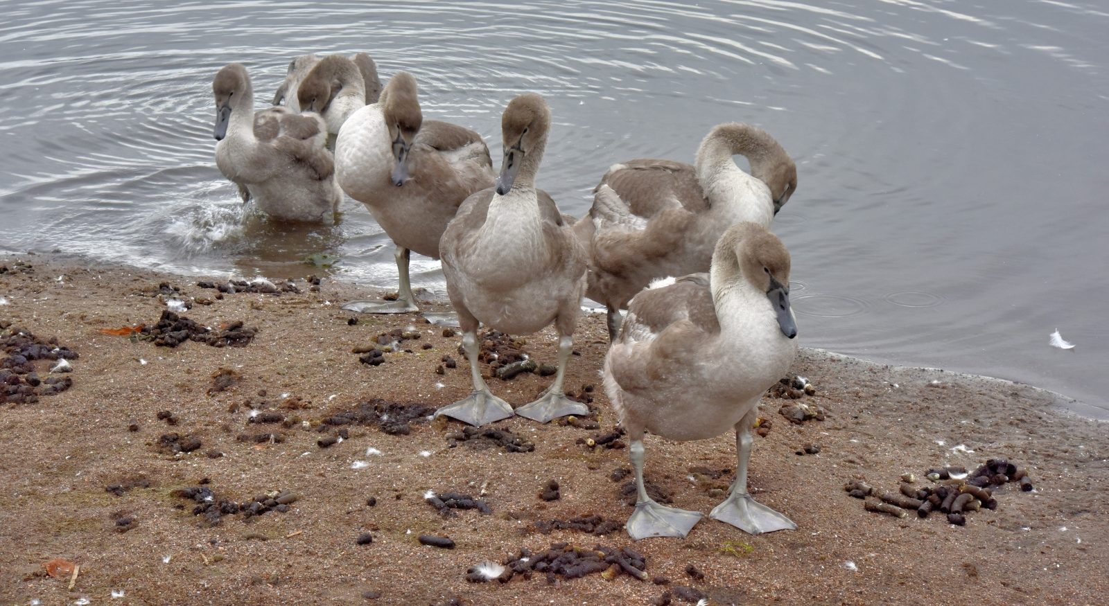Valokuvaaja: Reijo Juurinen