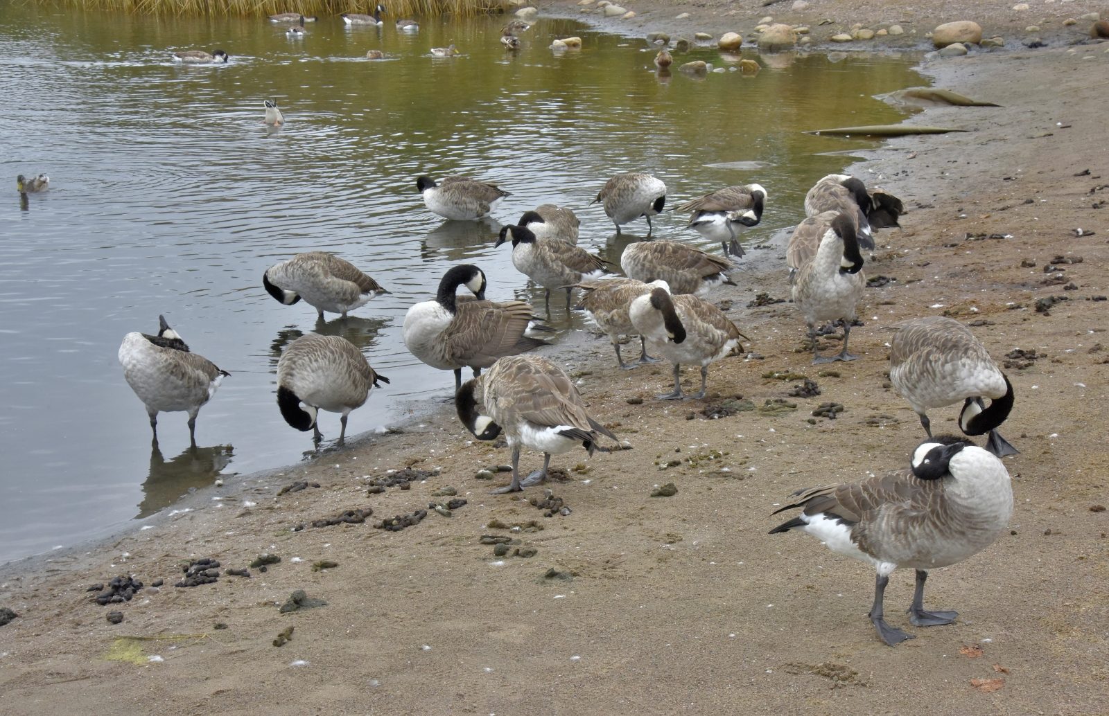 Valokuvaaja: Reijo Juurinen Valokuvaaja: Reijo Juurinen