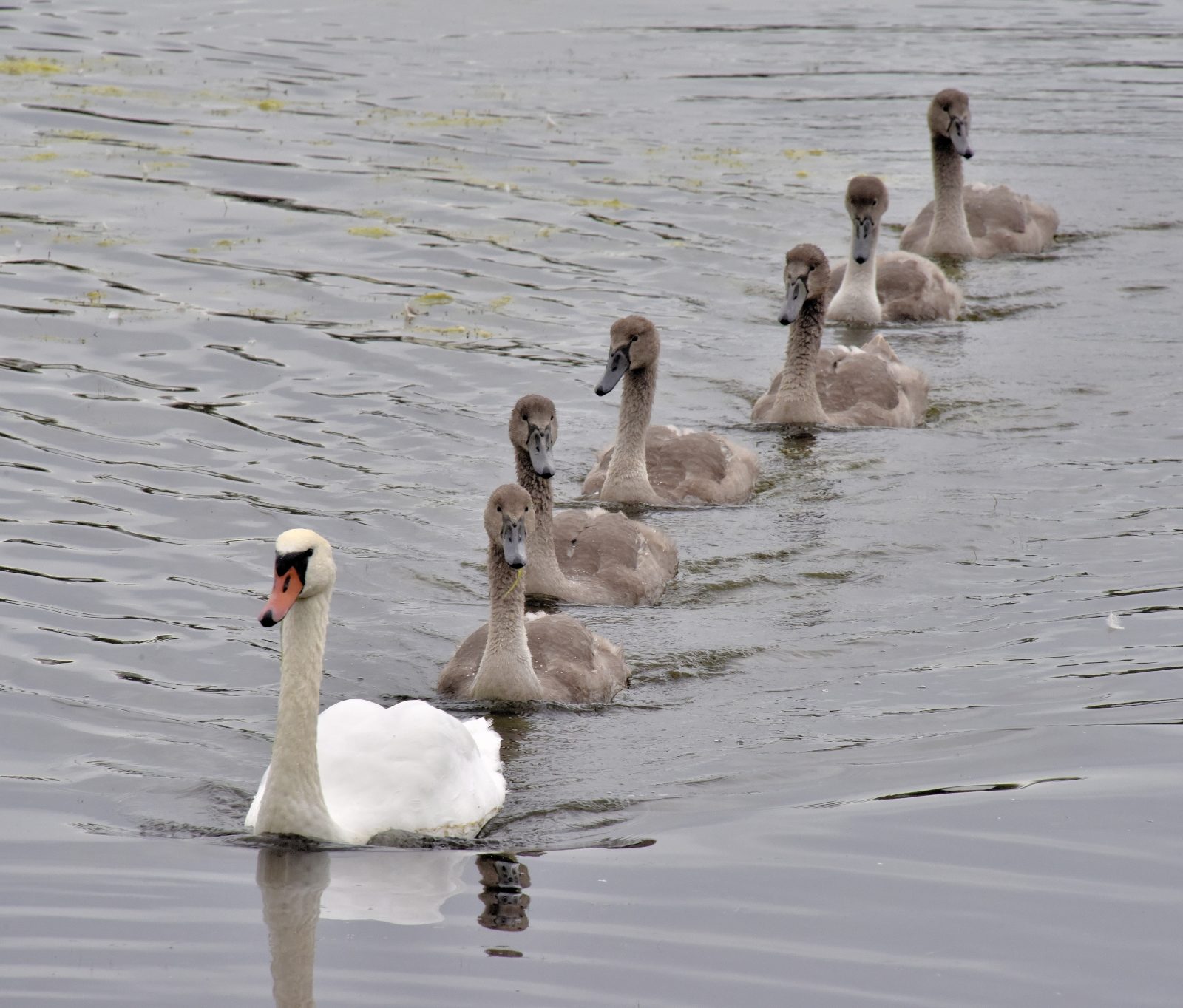 Valokuvaaja: Reijo Juurinen