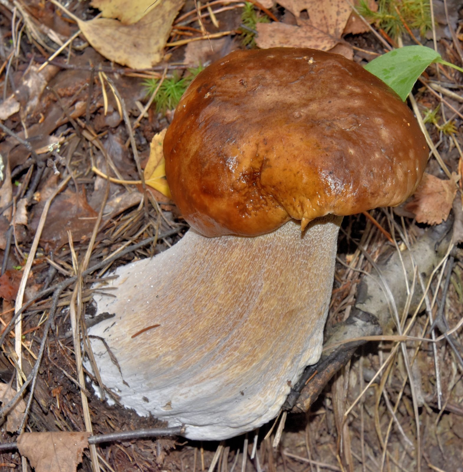 Valokuvaaja: Reijo Juurinen