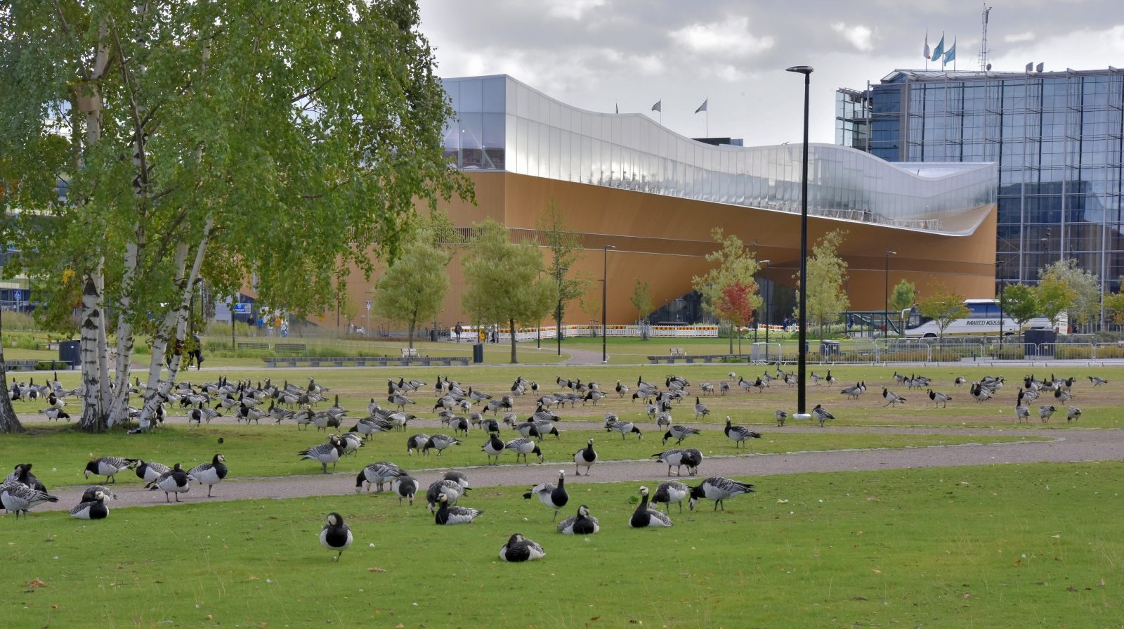 Valokuvaaja: Reijo Juurinen Valokuvaaja: Reijo Juurinen