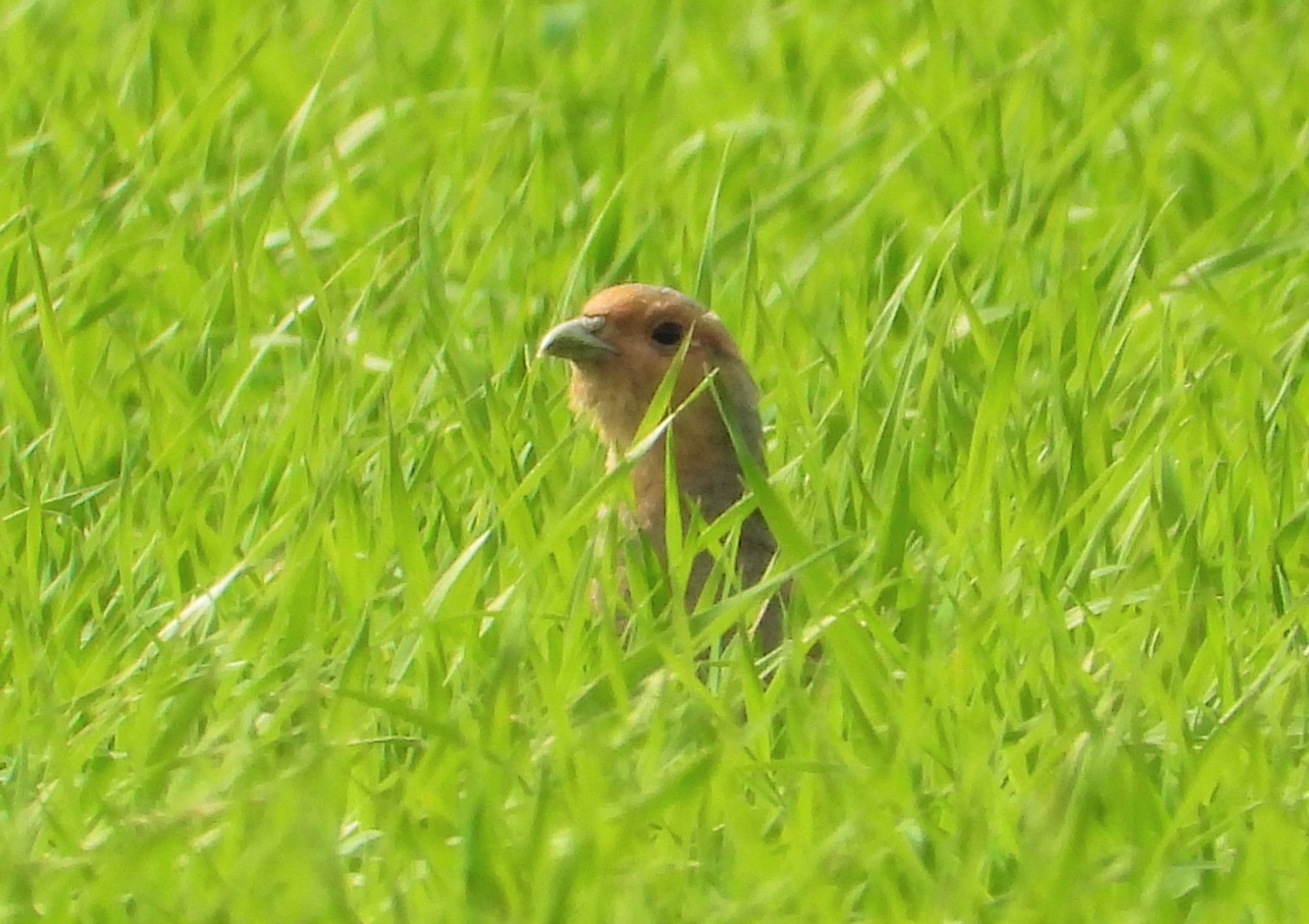 Valokuvaaja: Harri Kantola
