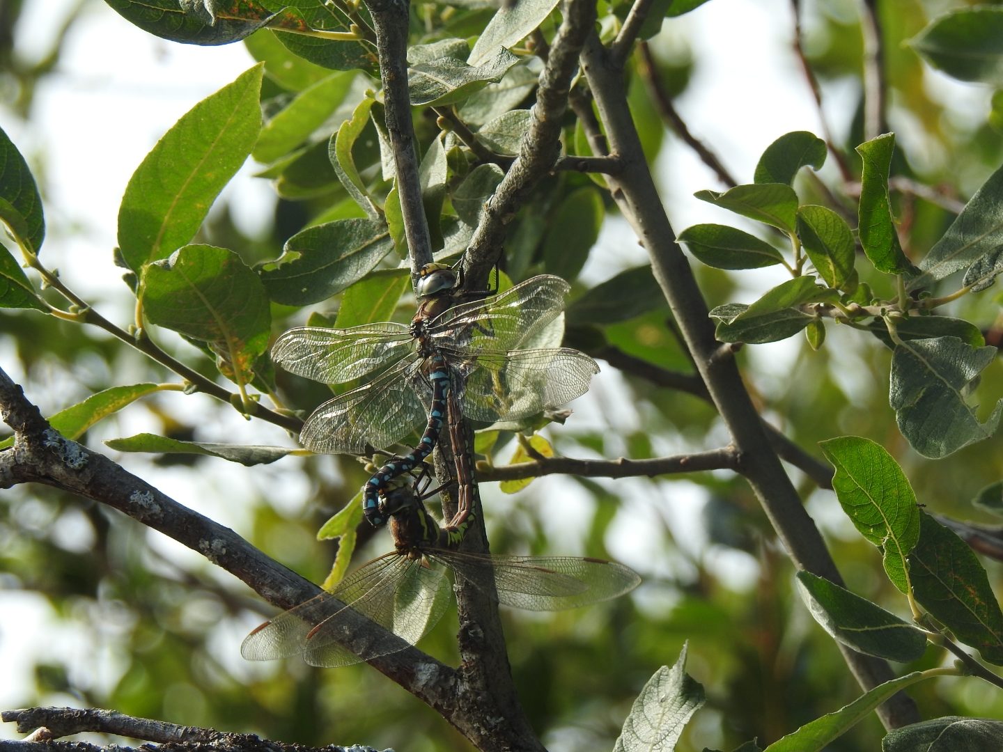 Valokuvaaja: Anne Hartikainen