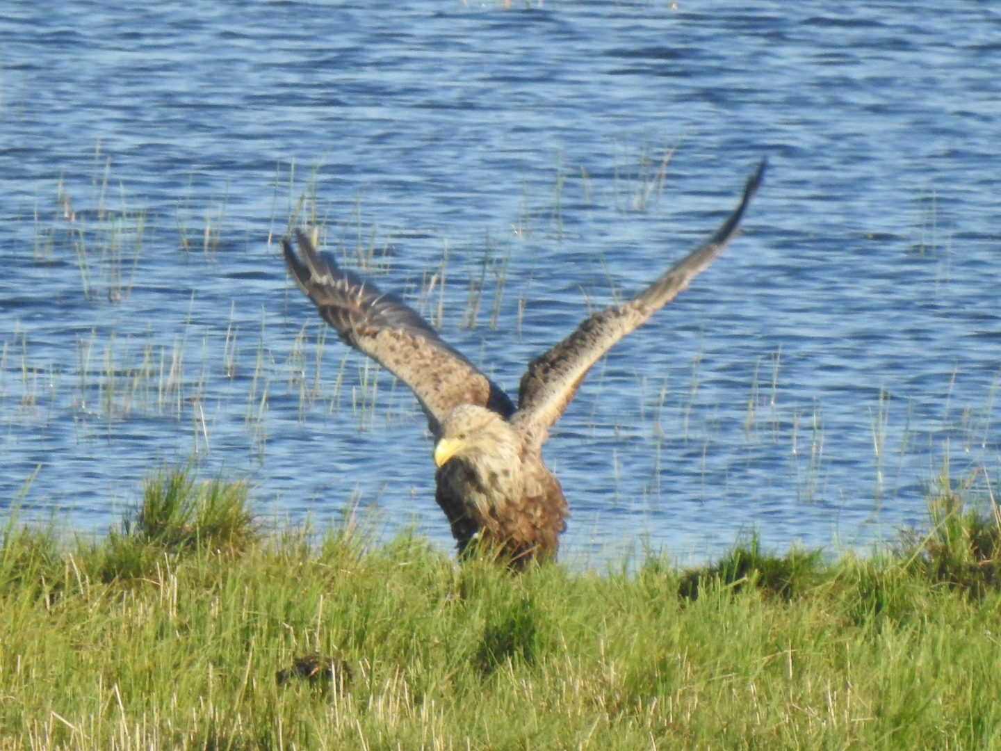 Valokuvaaja: Anne Hartikainen