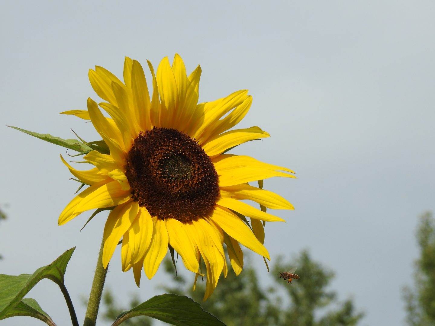 Valokuvaaja: Anne Hartikainen