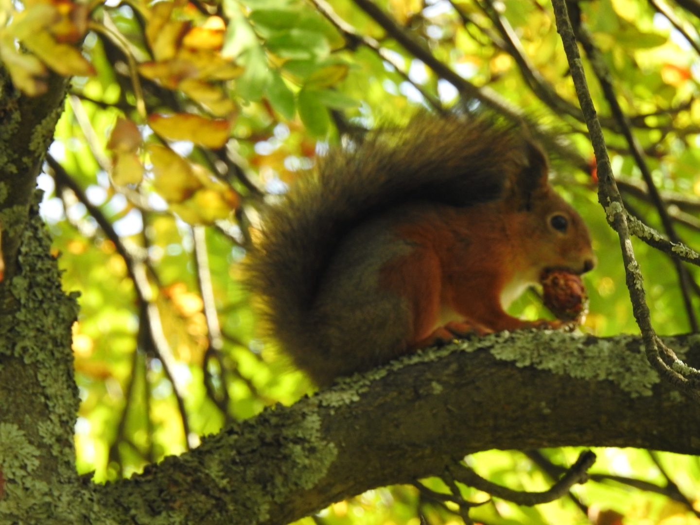 Valokuvaaja: Anne Hartikainen