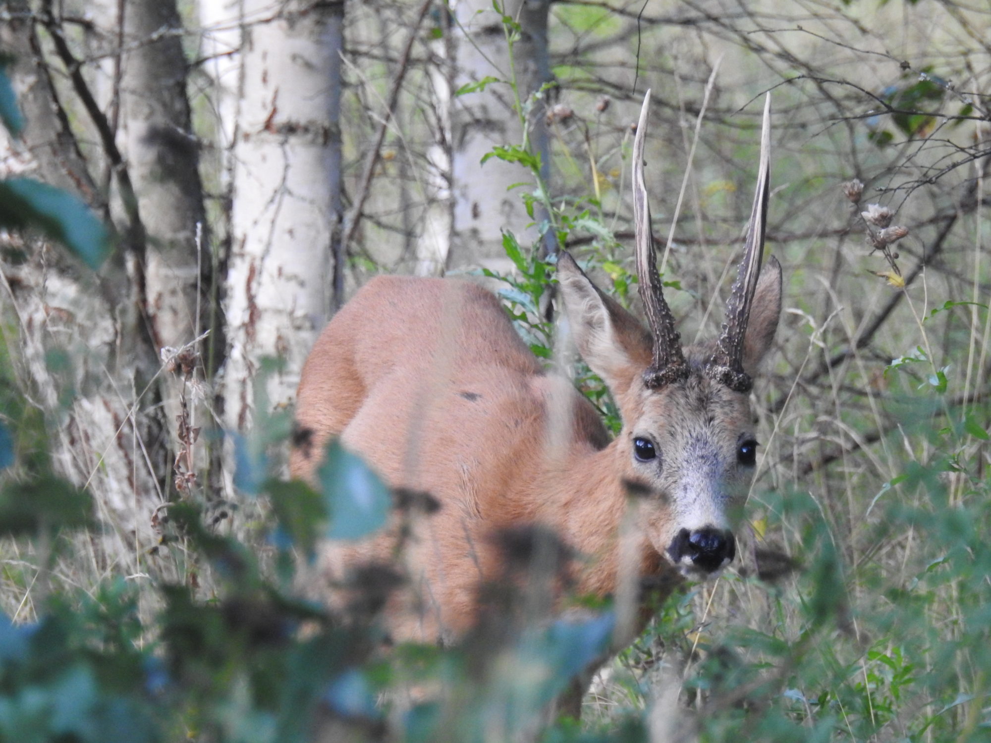 Valokuvaaja: Anni Hella
