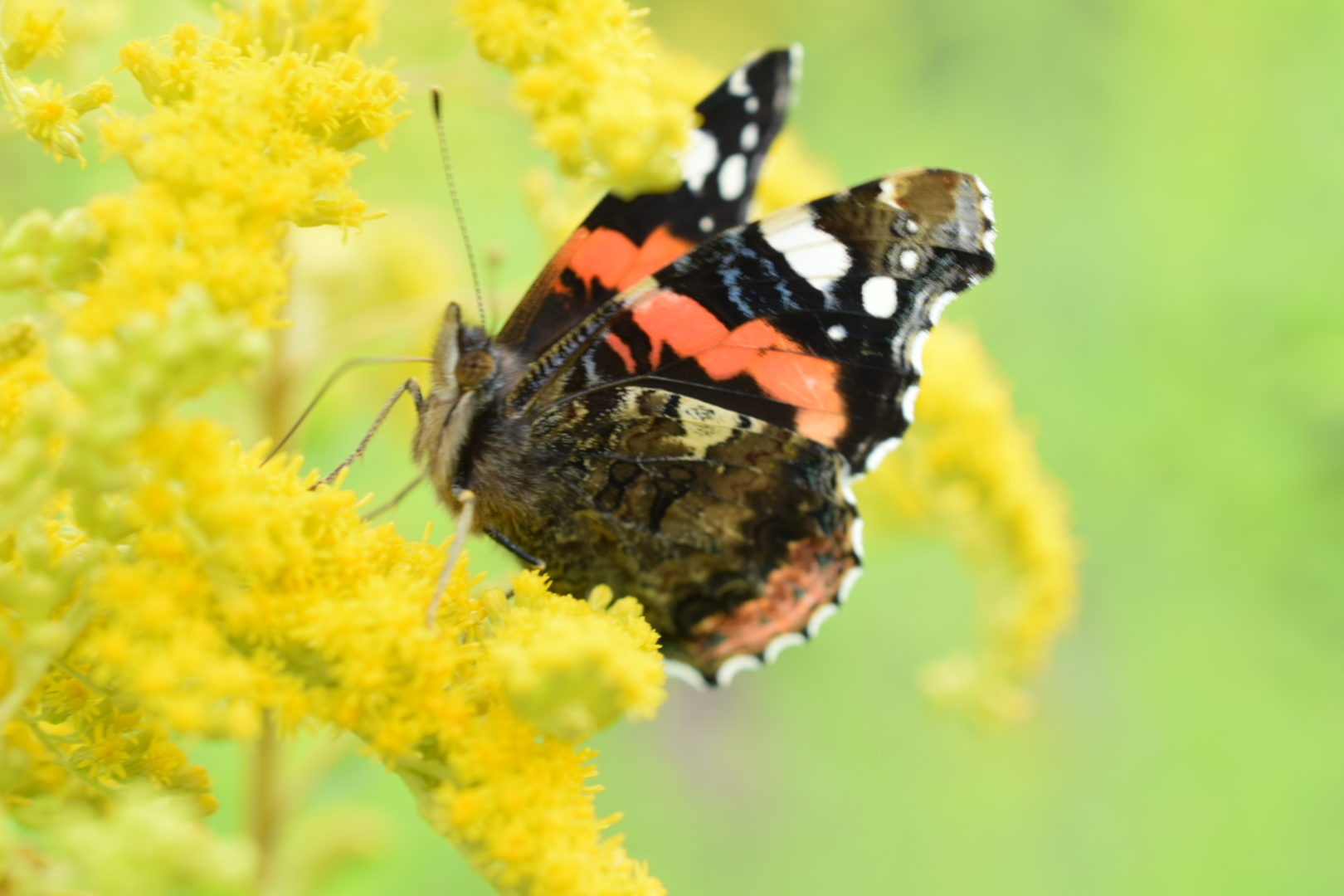Valokuvaaja: Anne Hartikainen