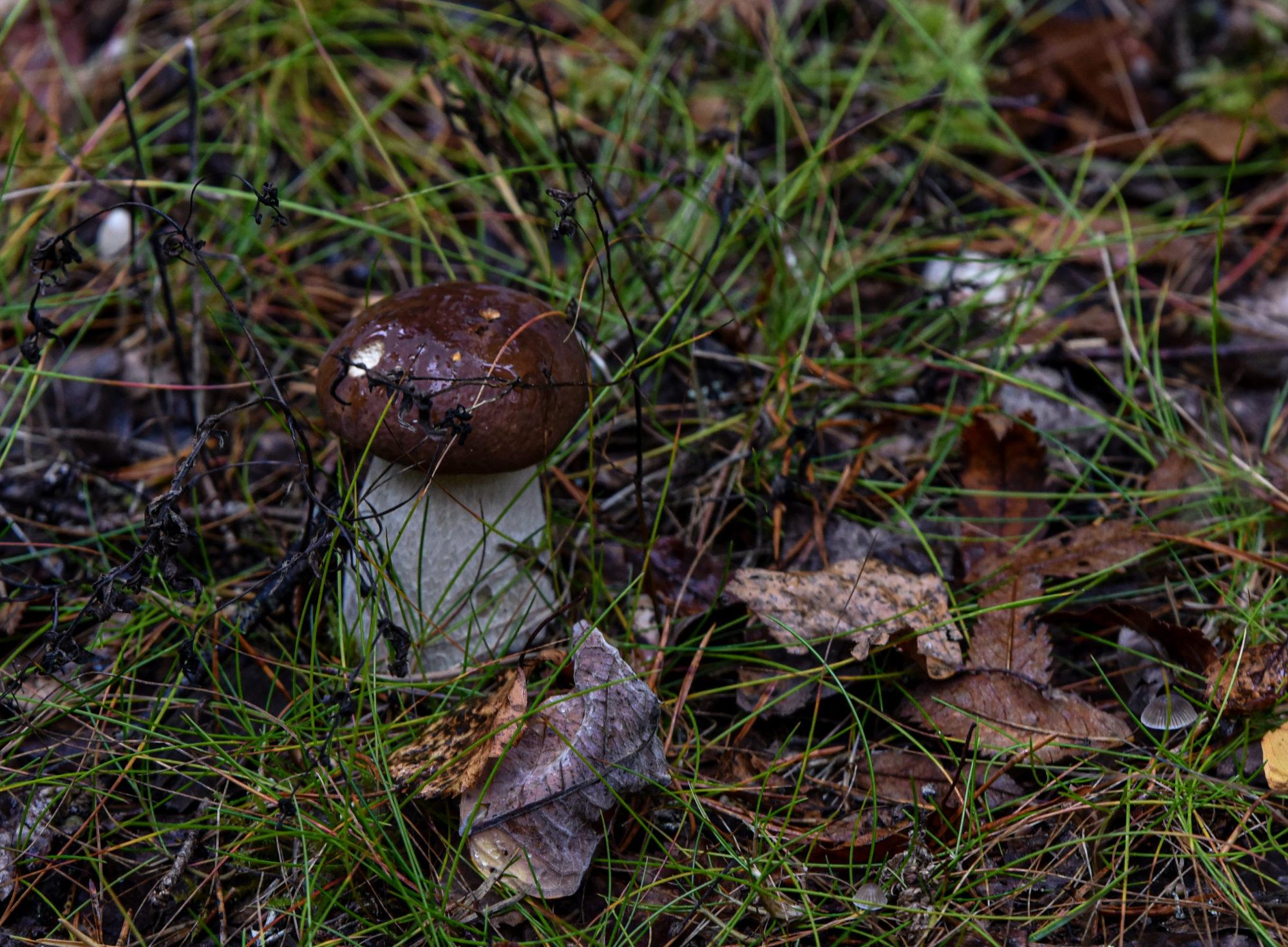 Valokuvaaja: Maija Savolainen