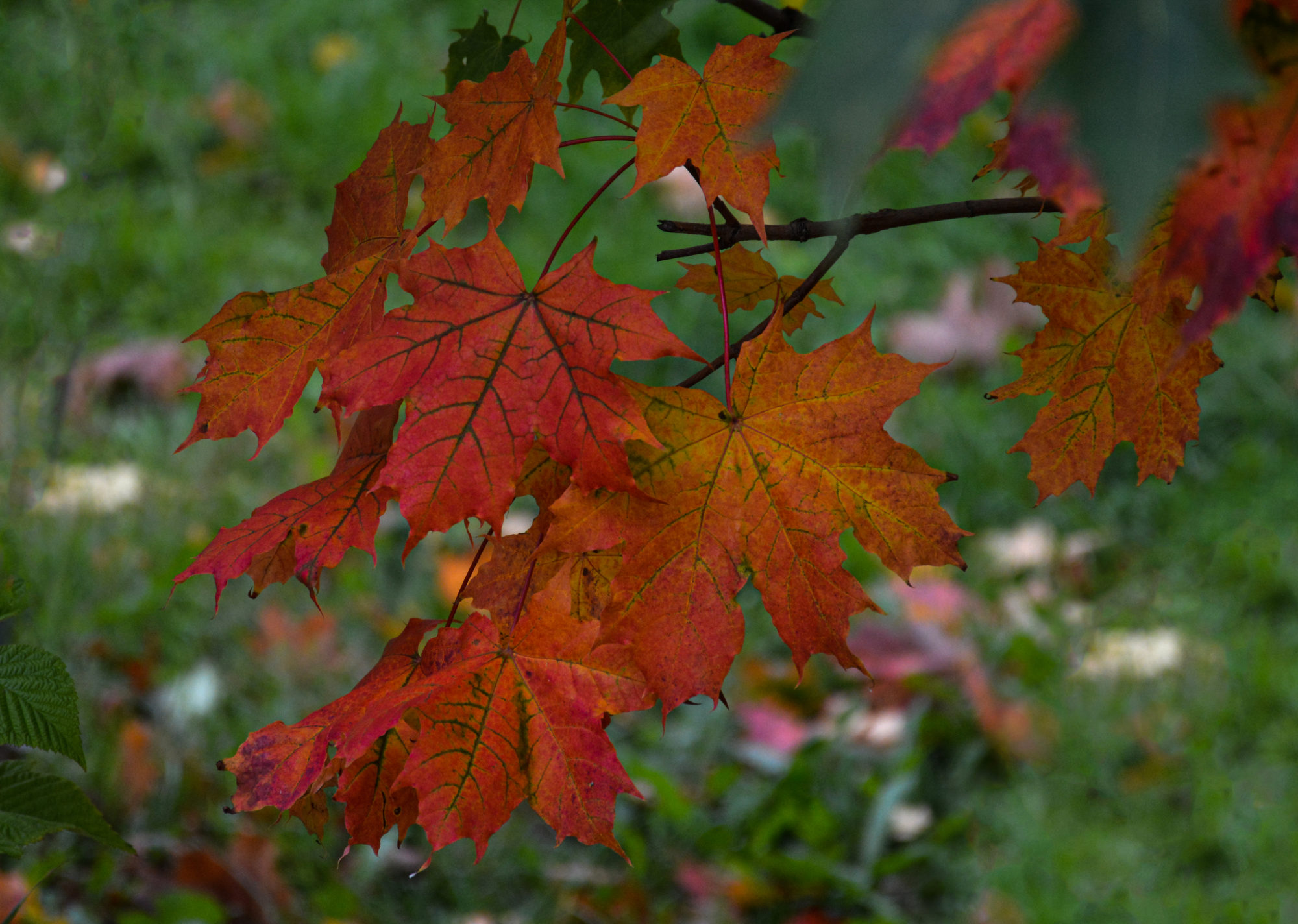 Valokuvaaja: Maija Savolainen